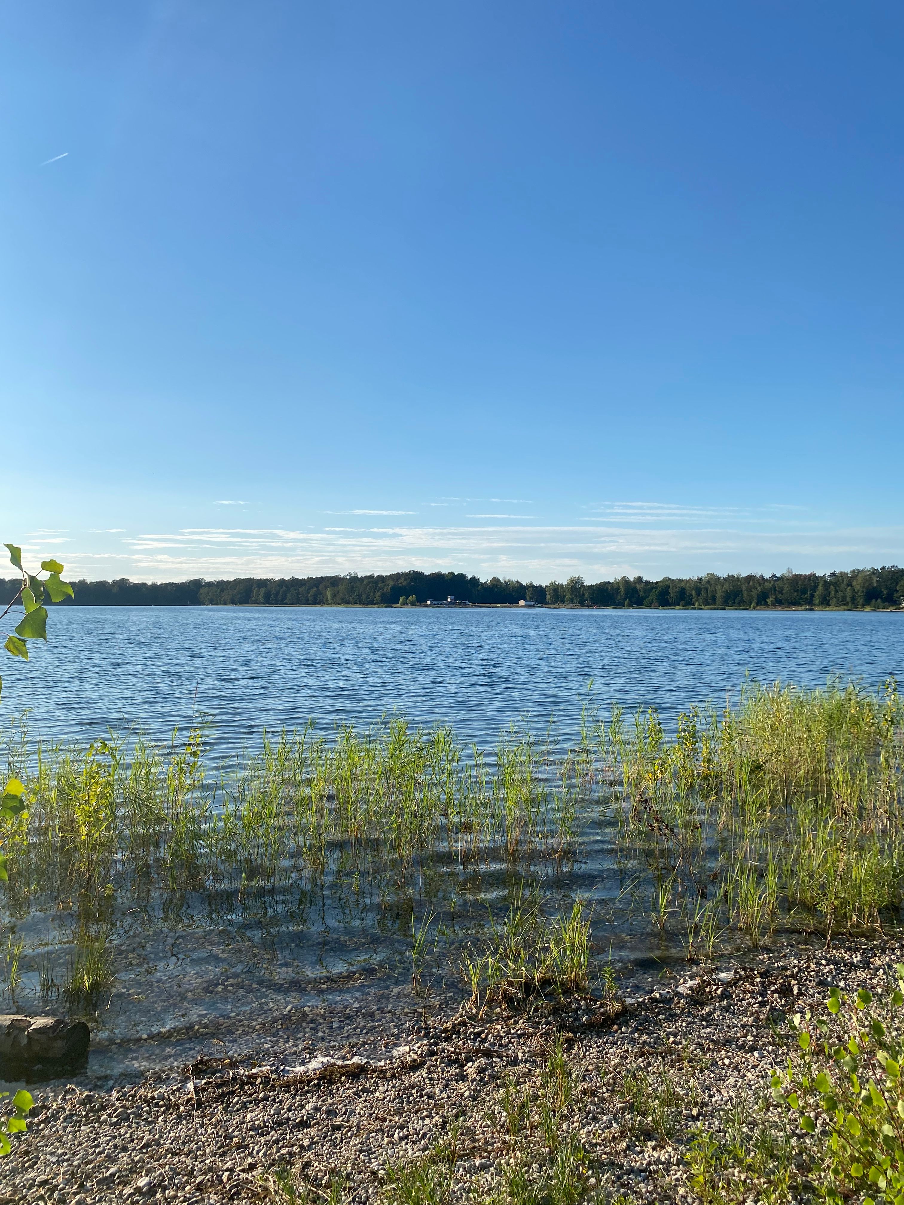 image-14