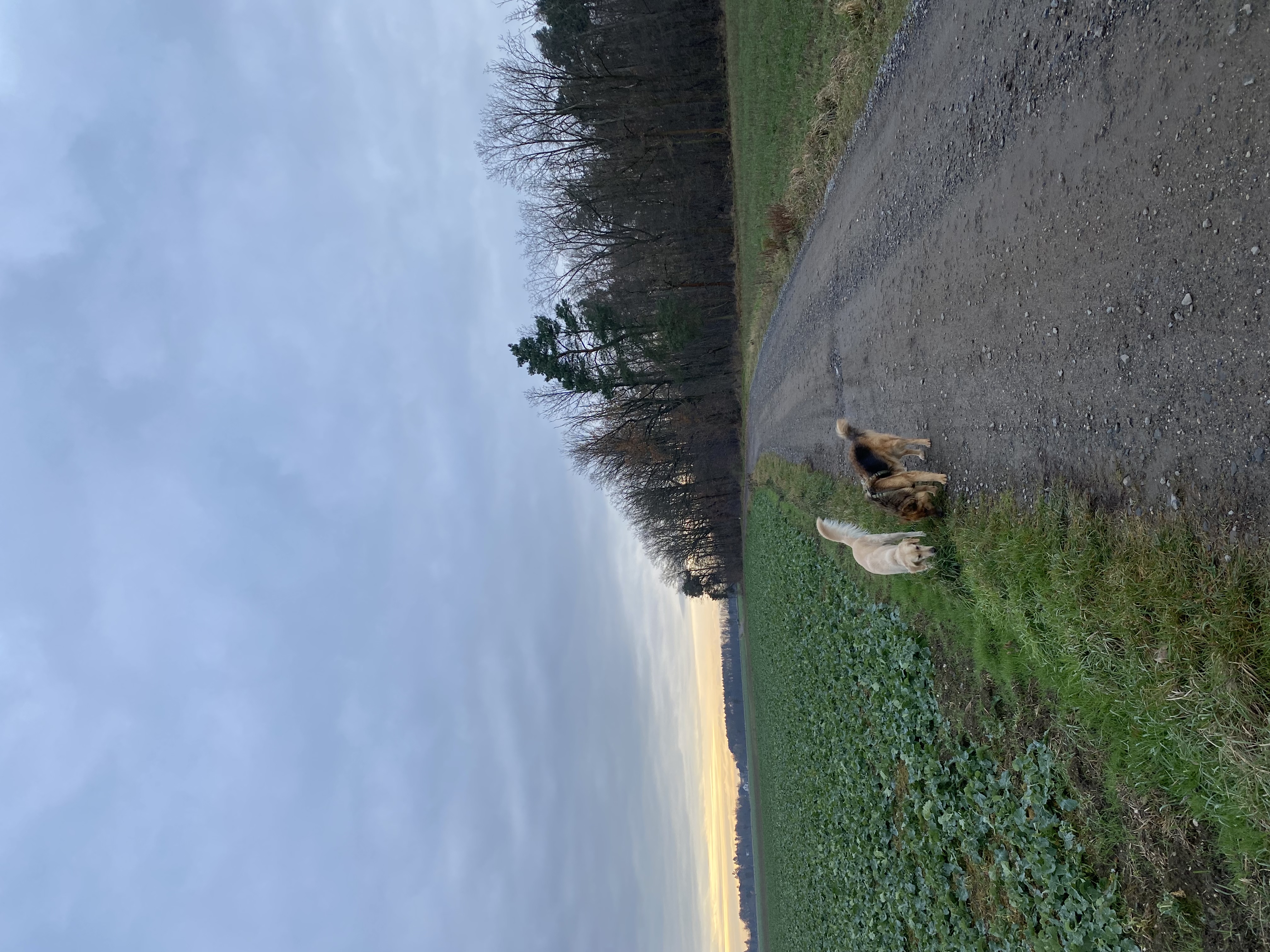 image-20