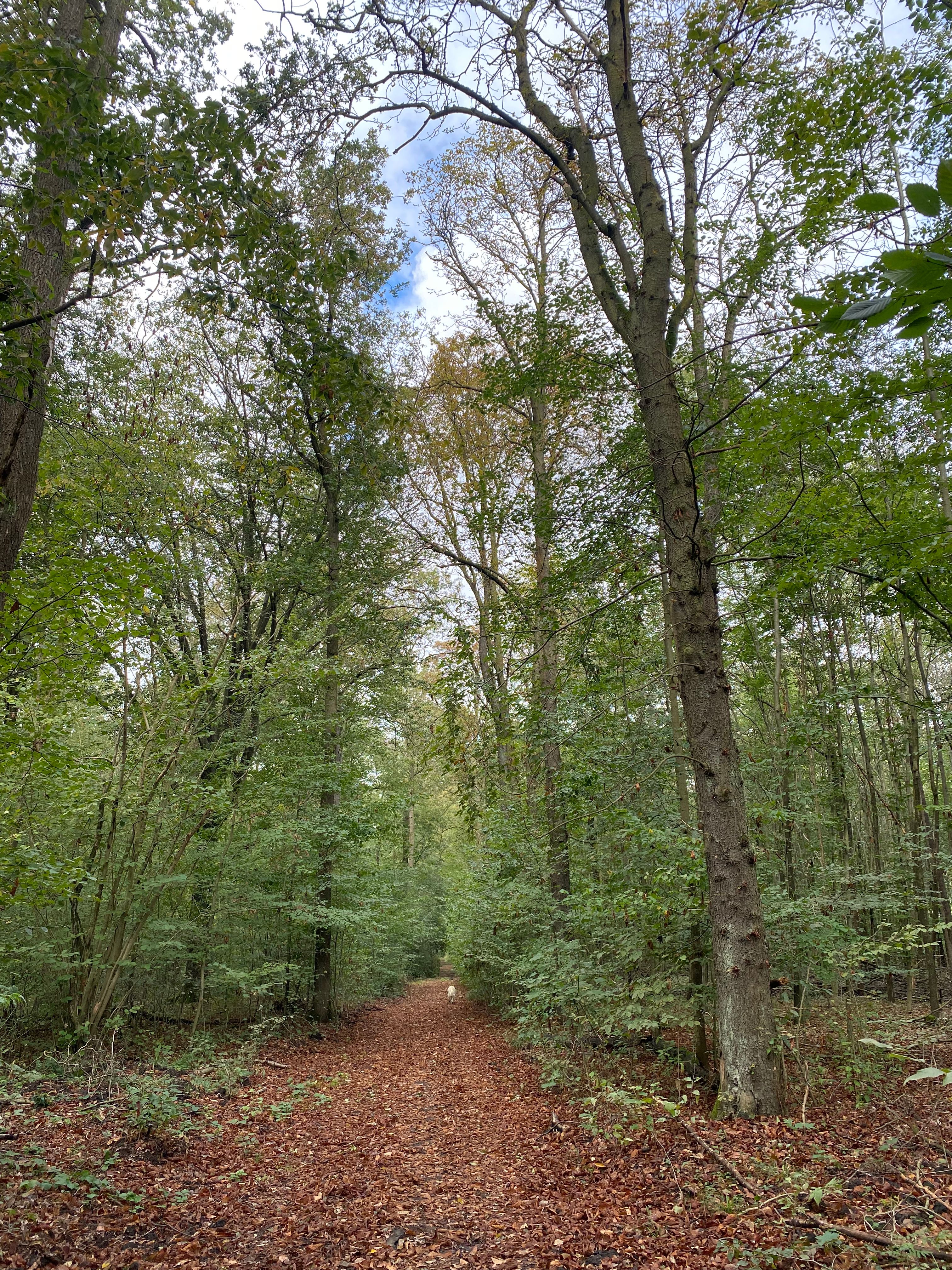 image-13