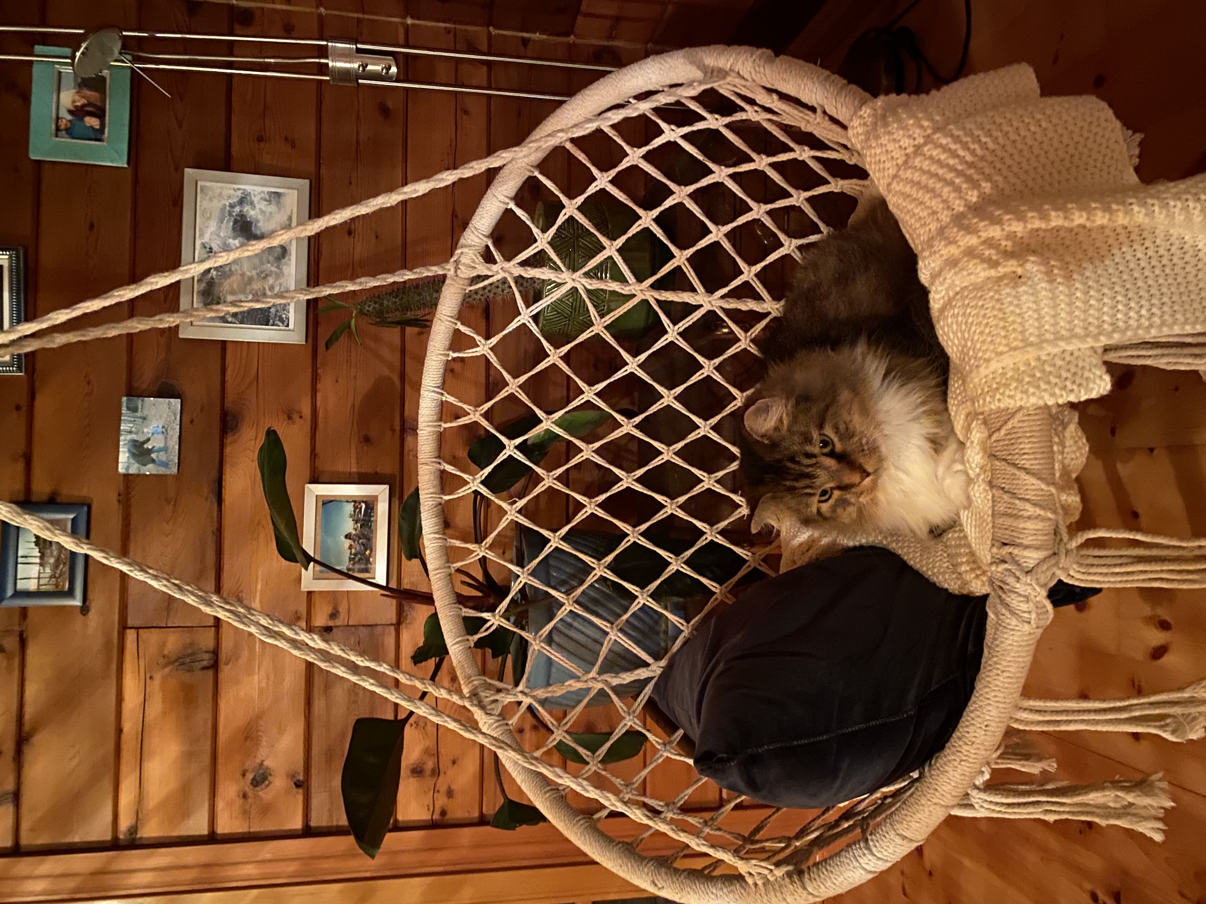 image-9