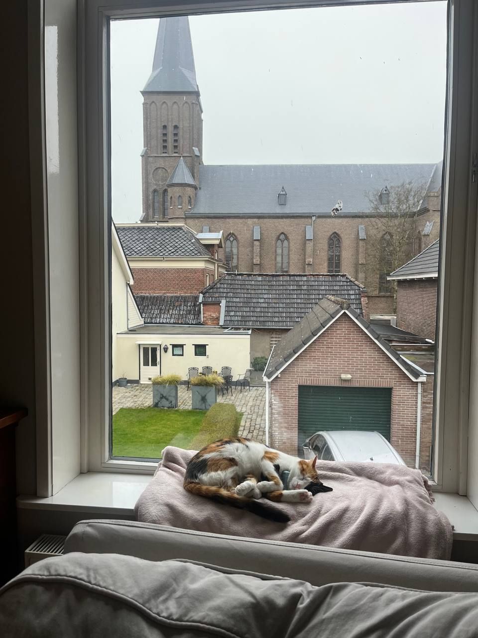 image-23