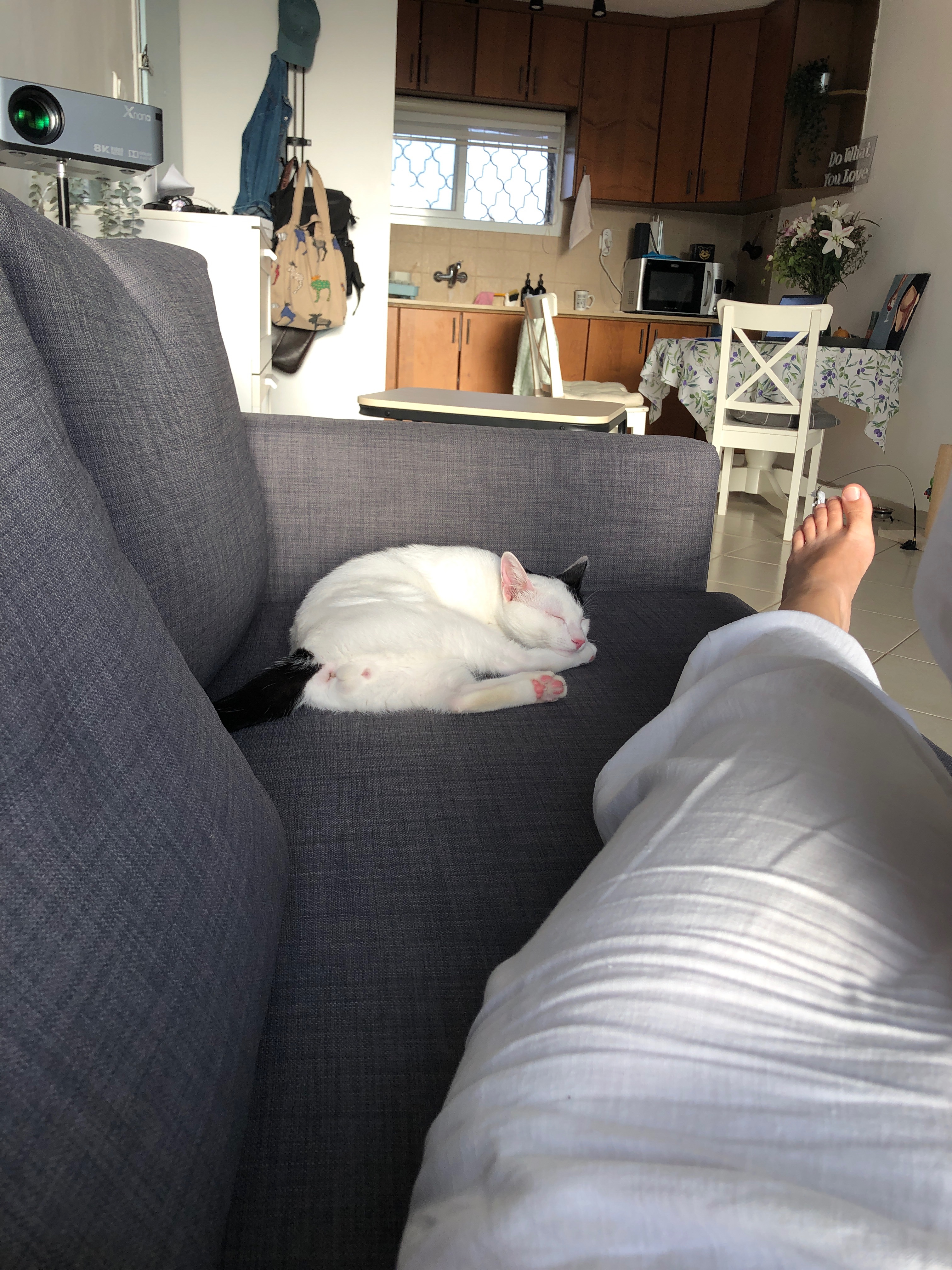 image-7