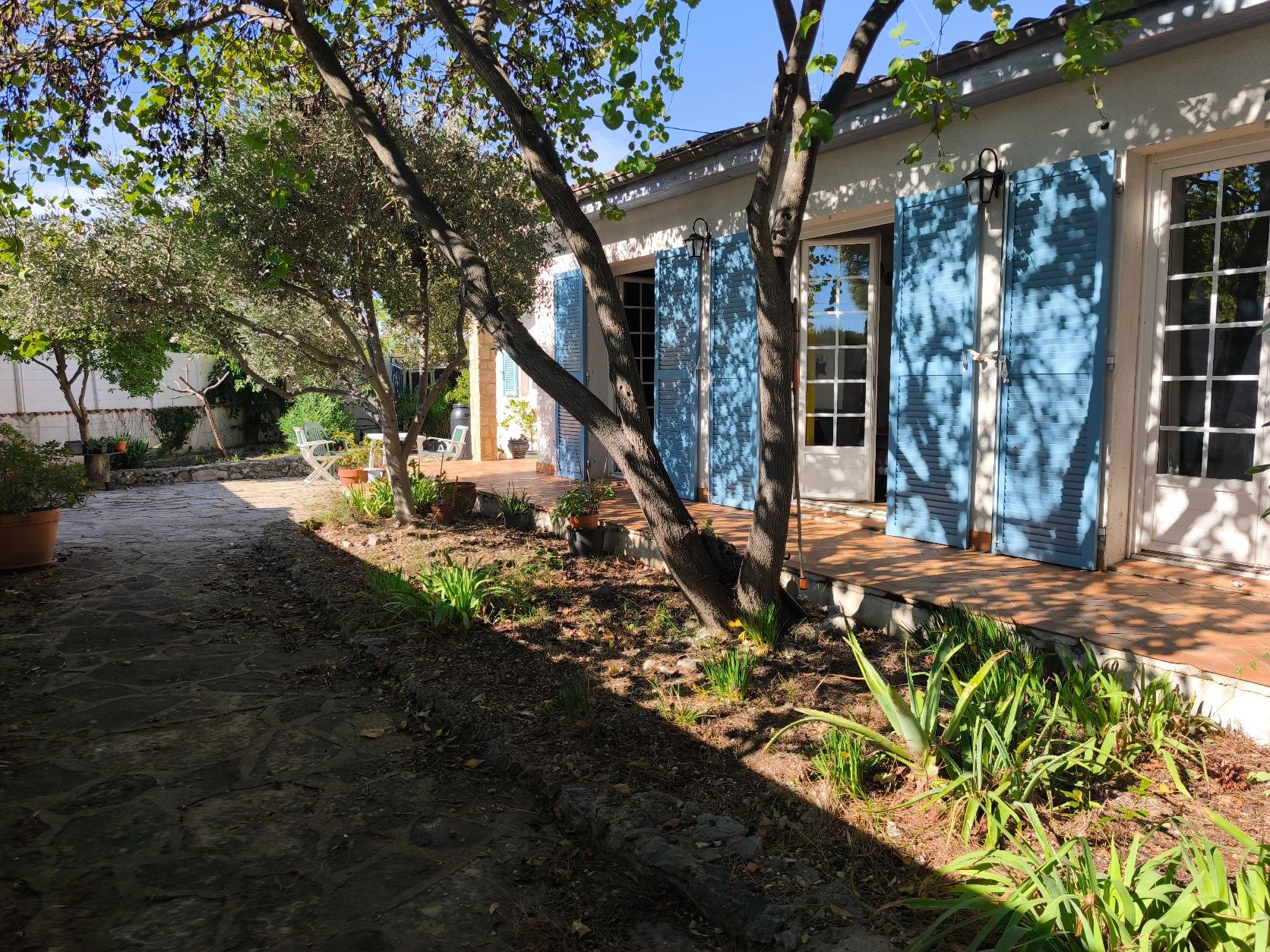 image-13