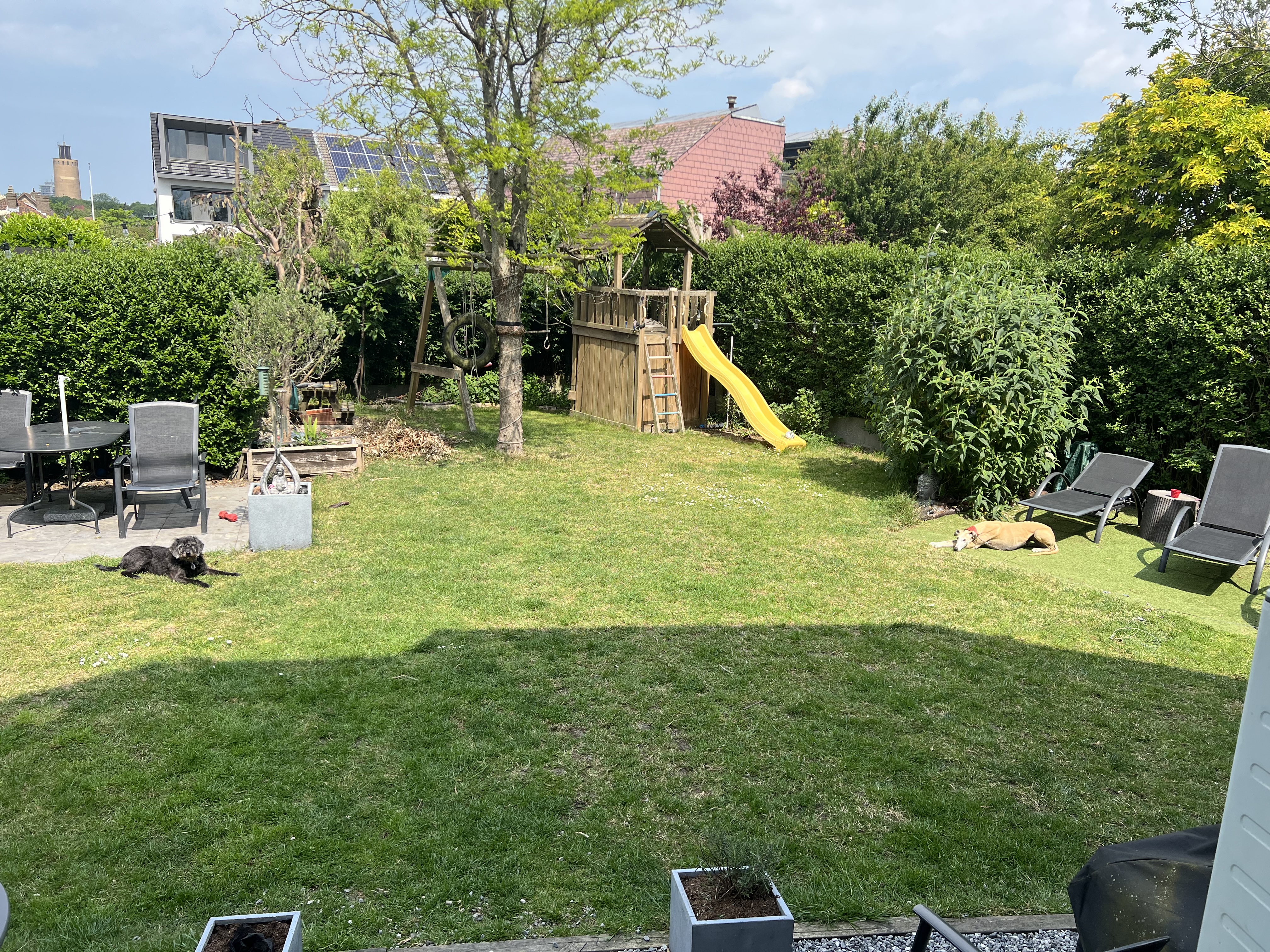 image-19