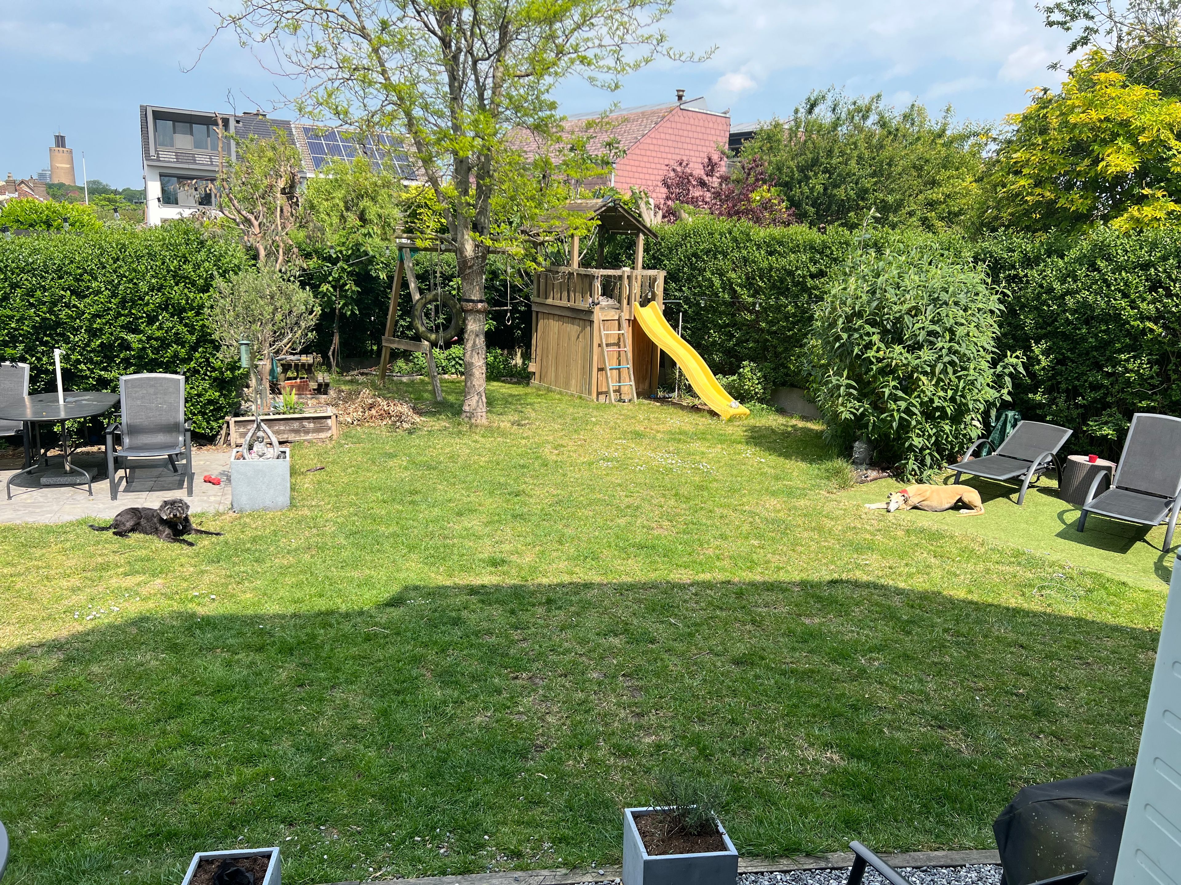 image-19