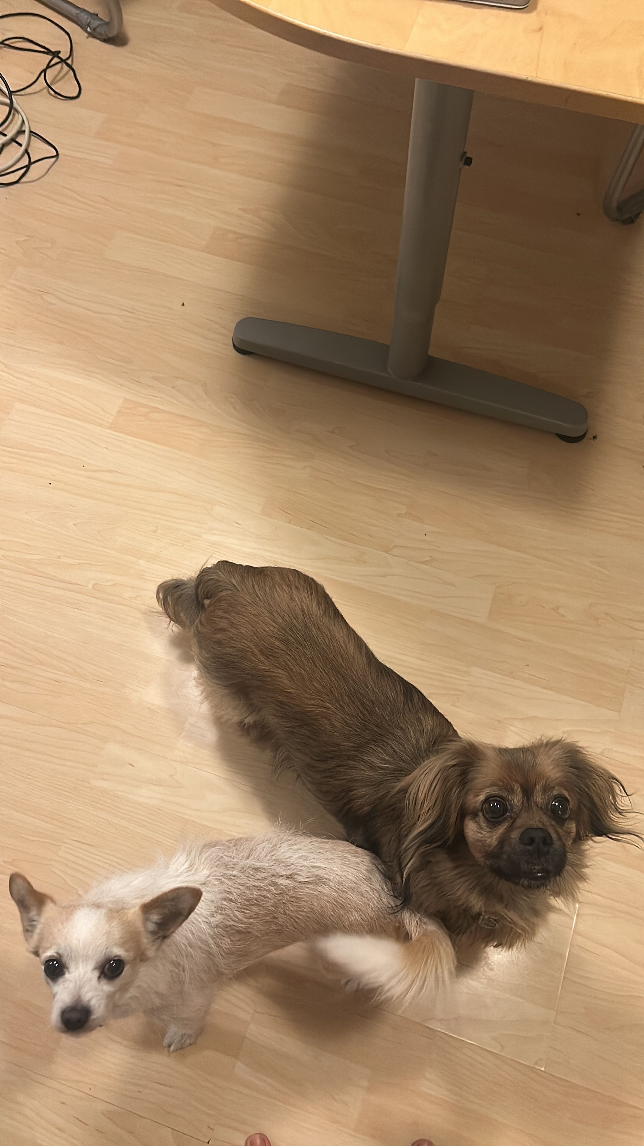 image-16