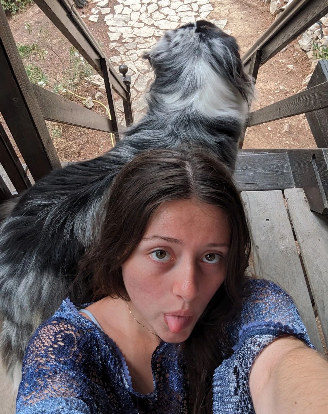 image-6