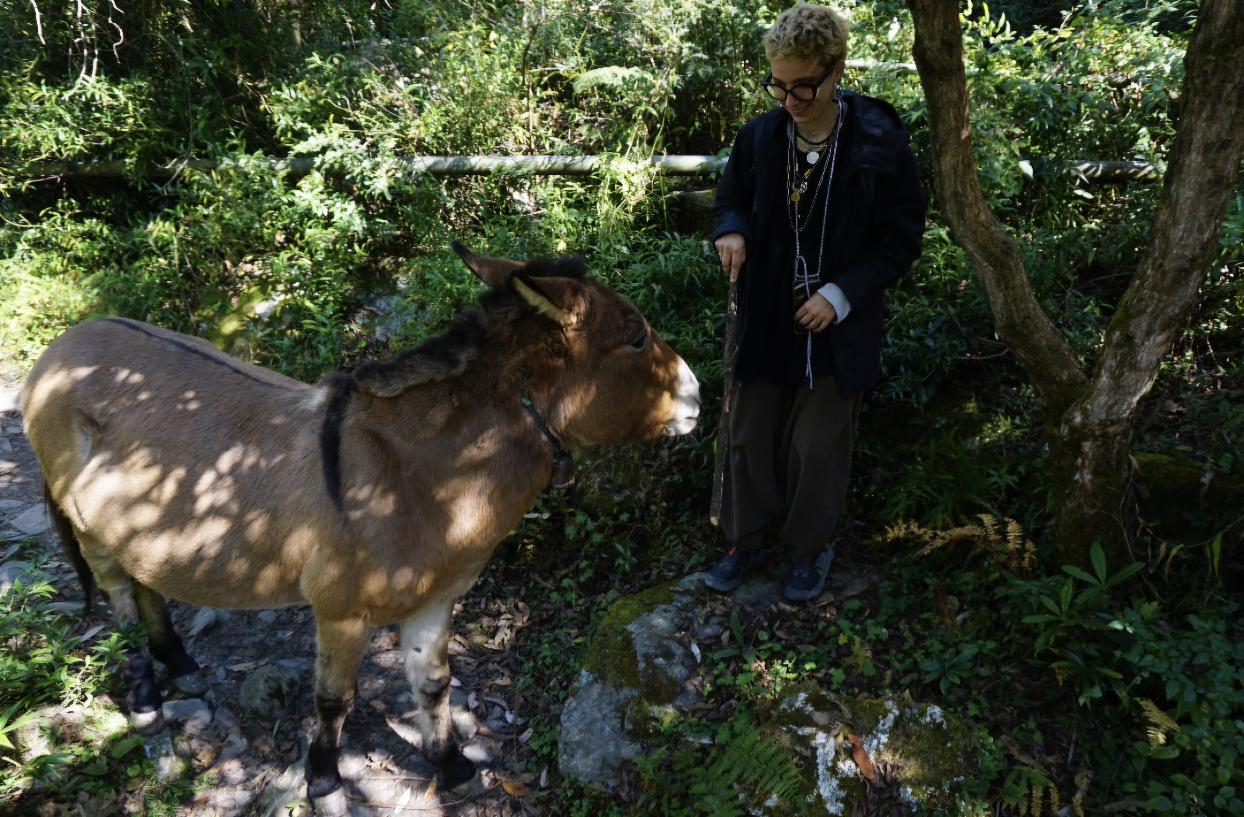image-8