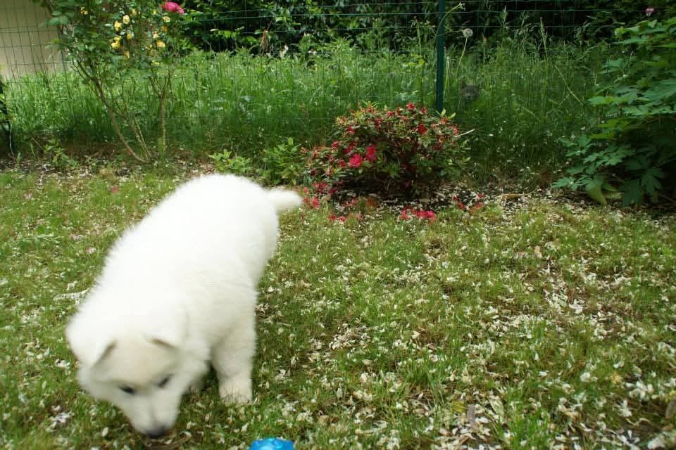 image-10