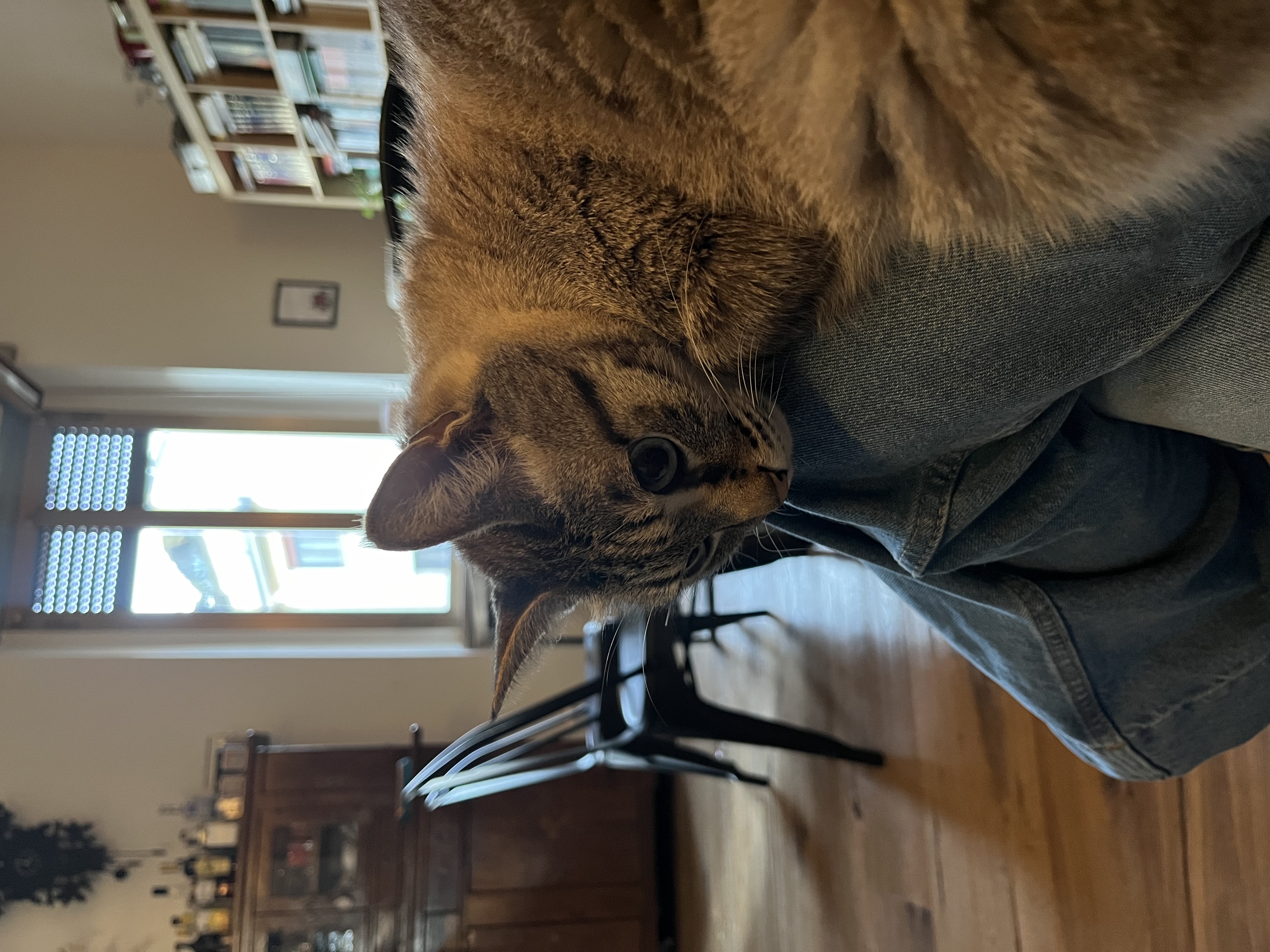 image-10