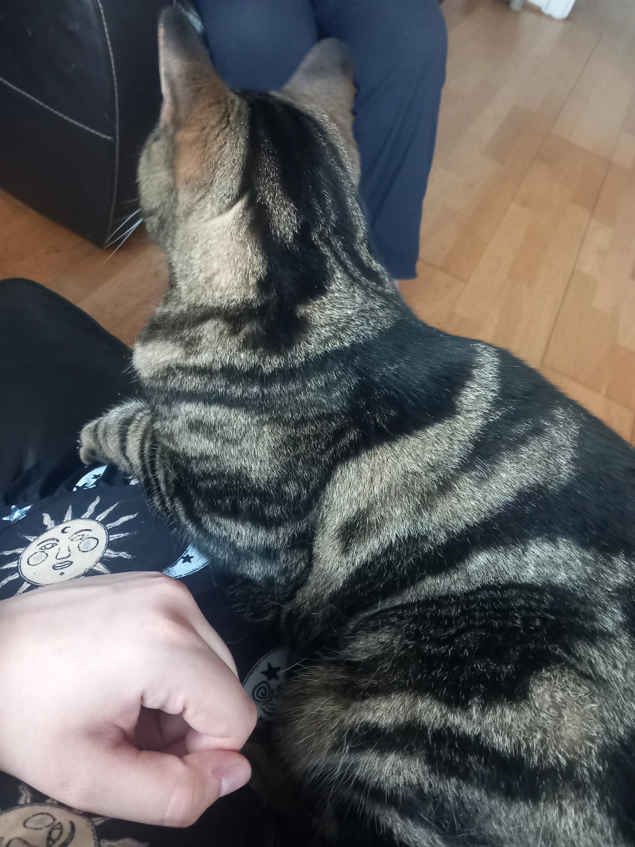 image-7