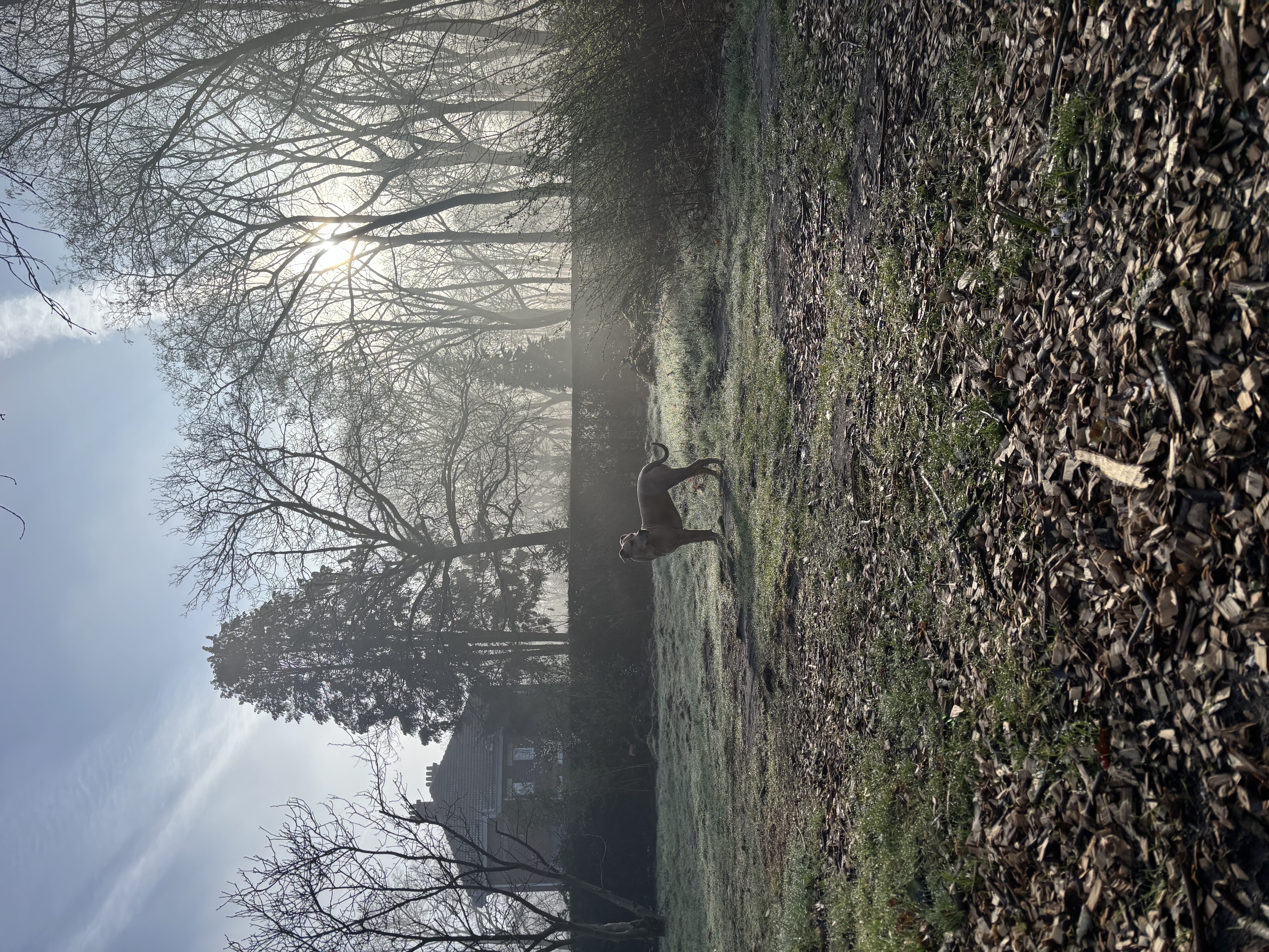 image-14