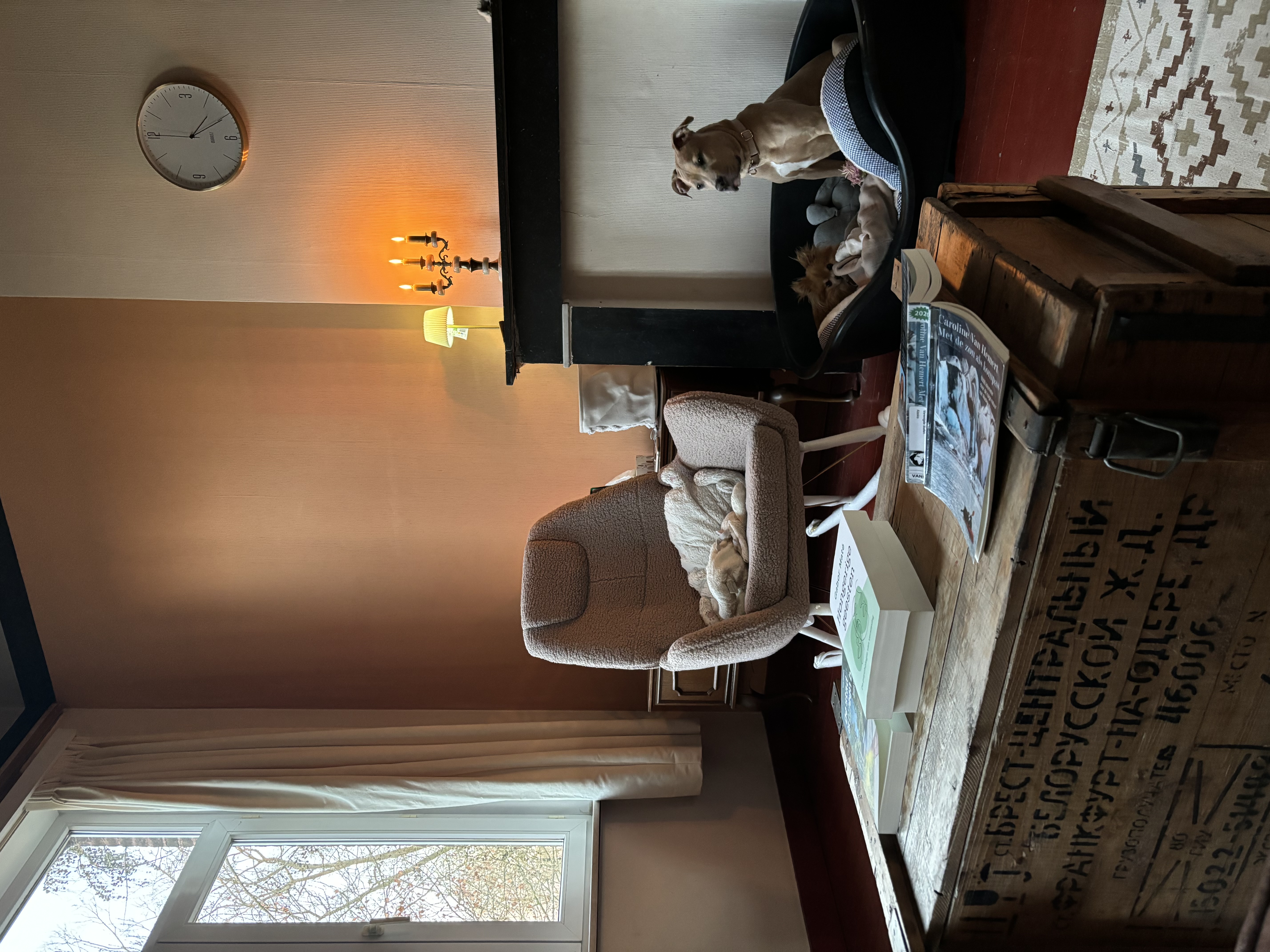 image-10