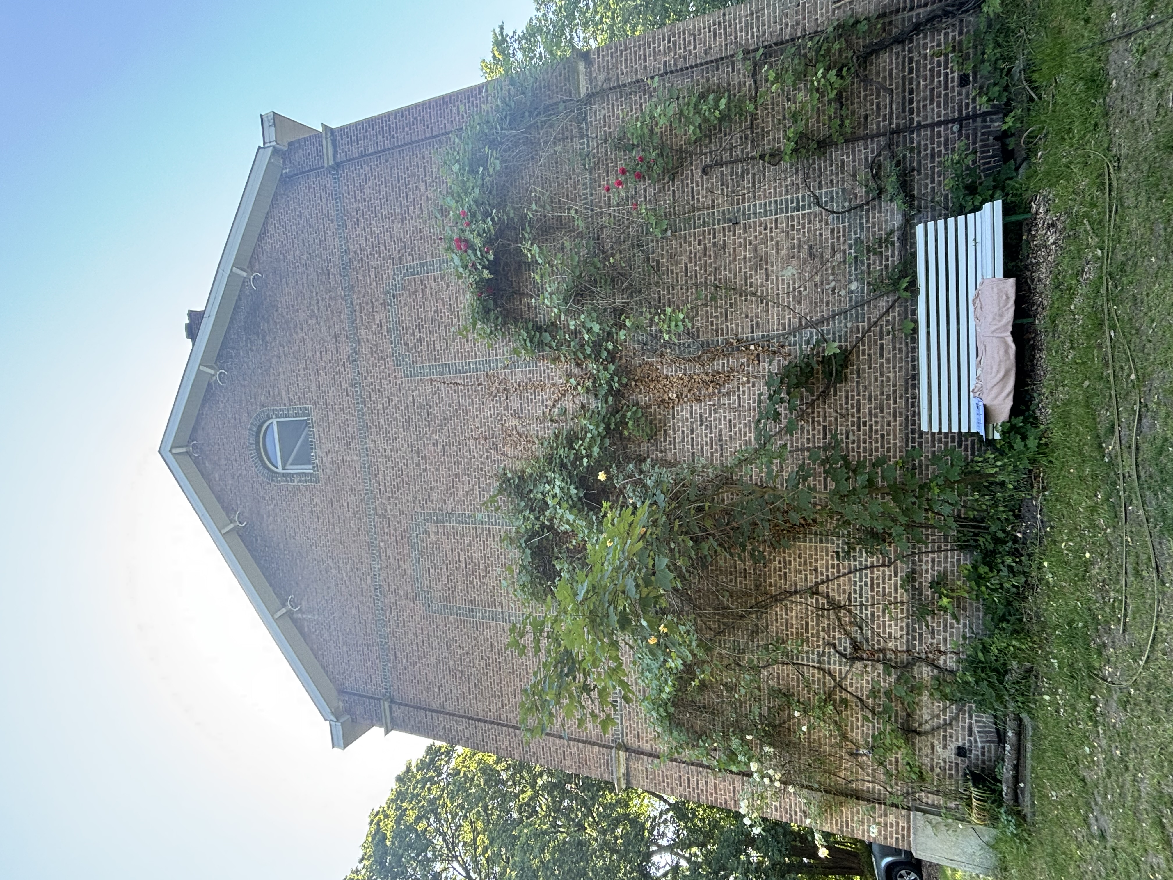image-11