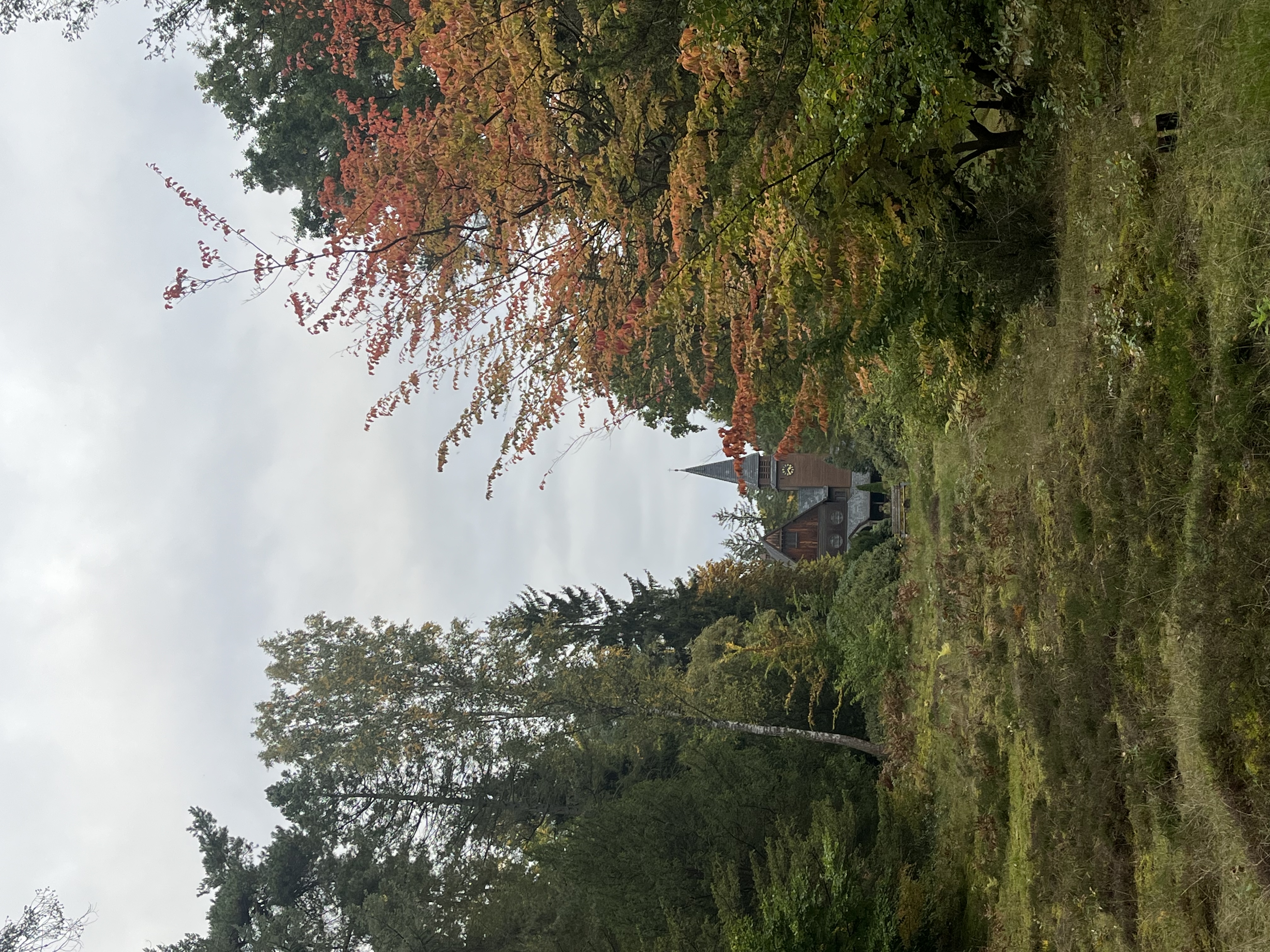 image-20