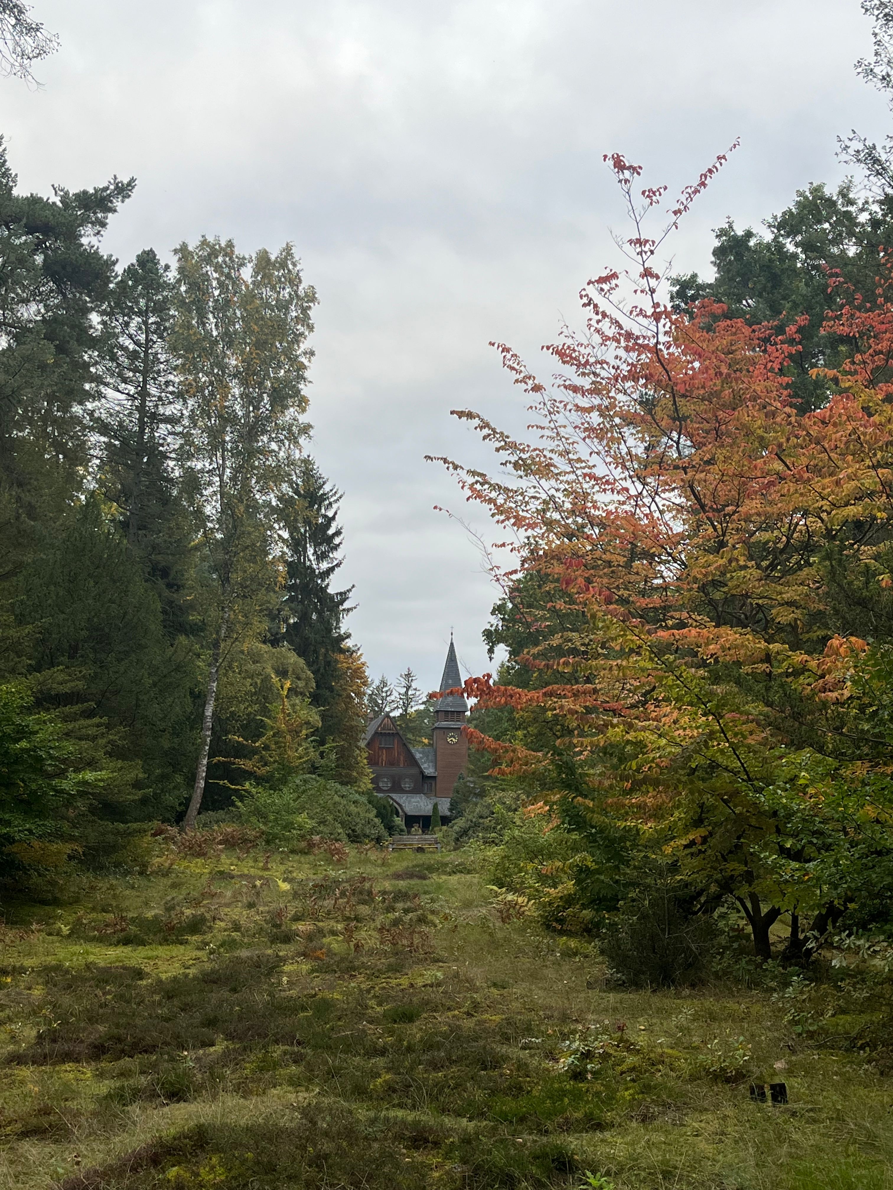 image-20
