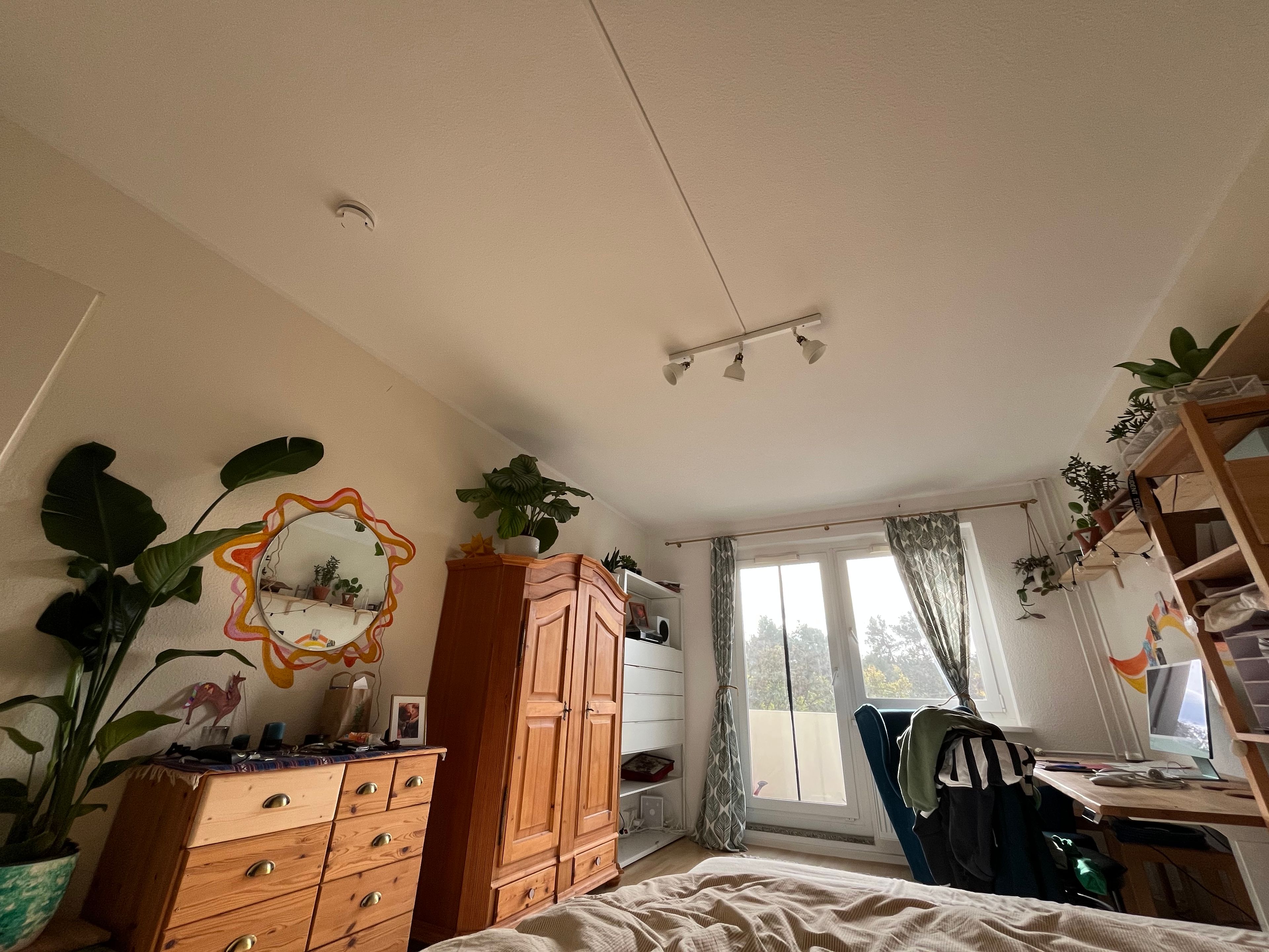 image-19