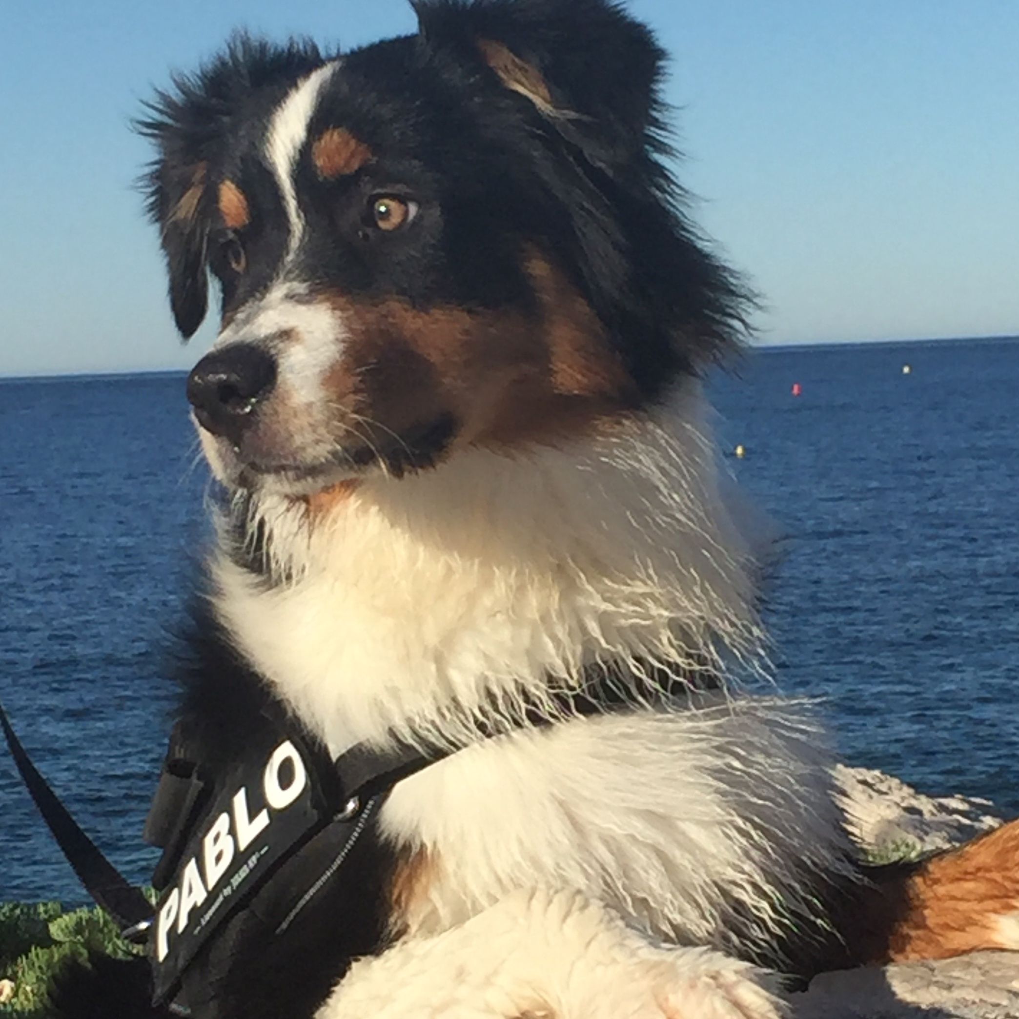 Pablo