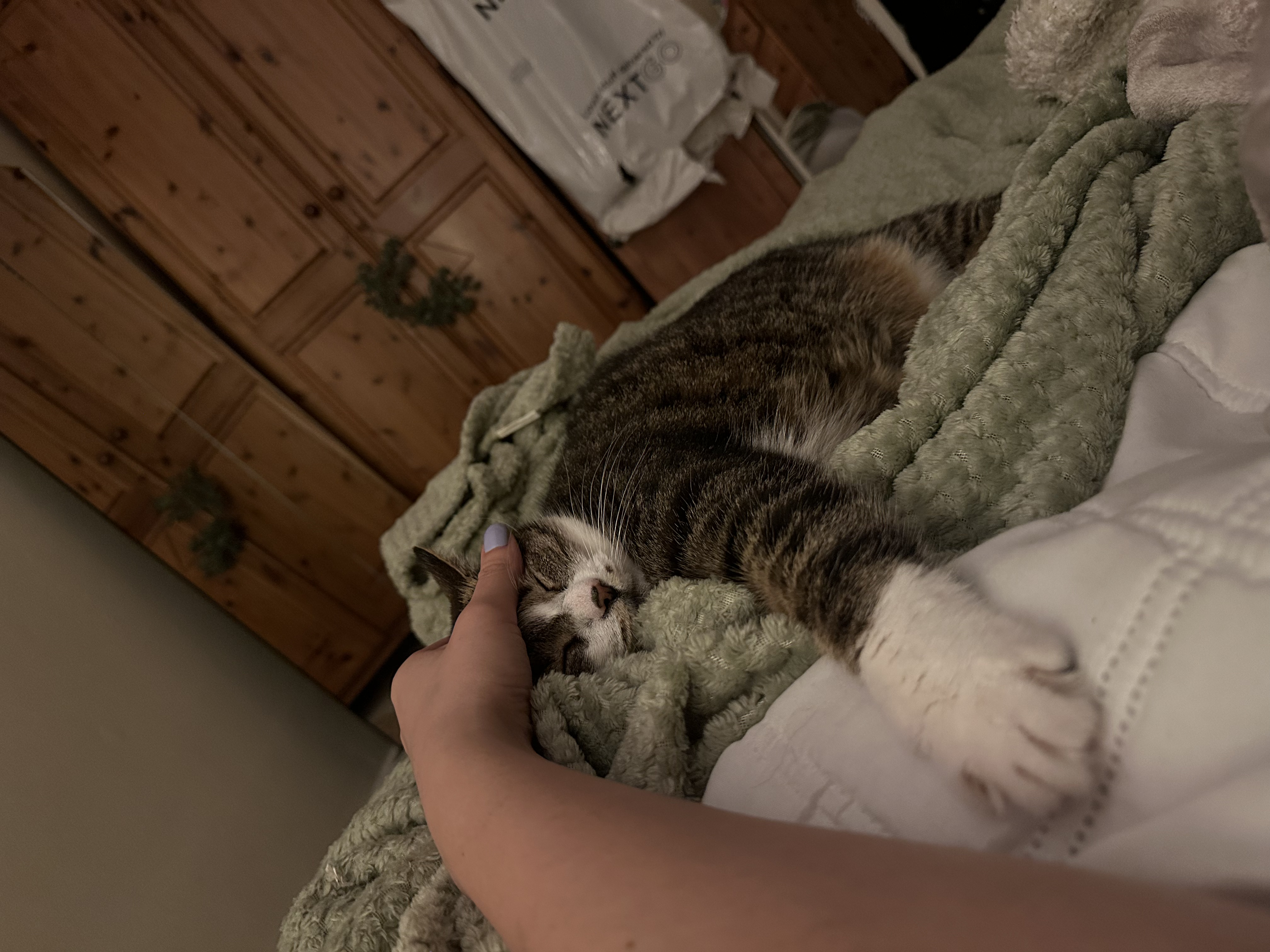 image-6