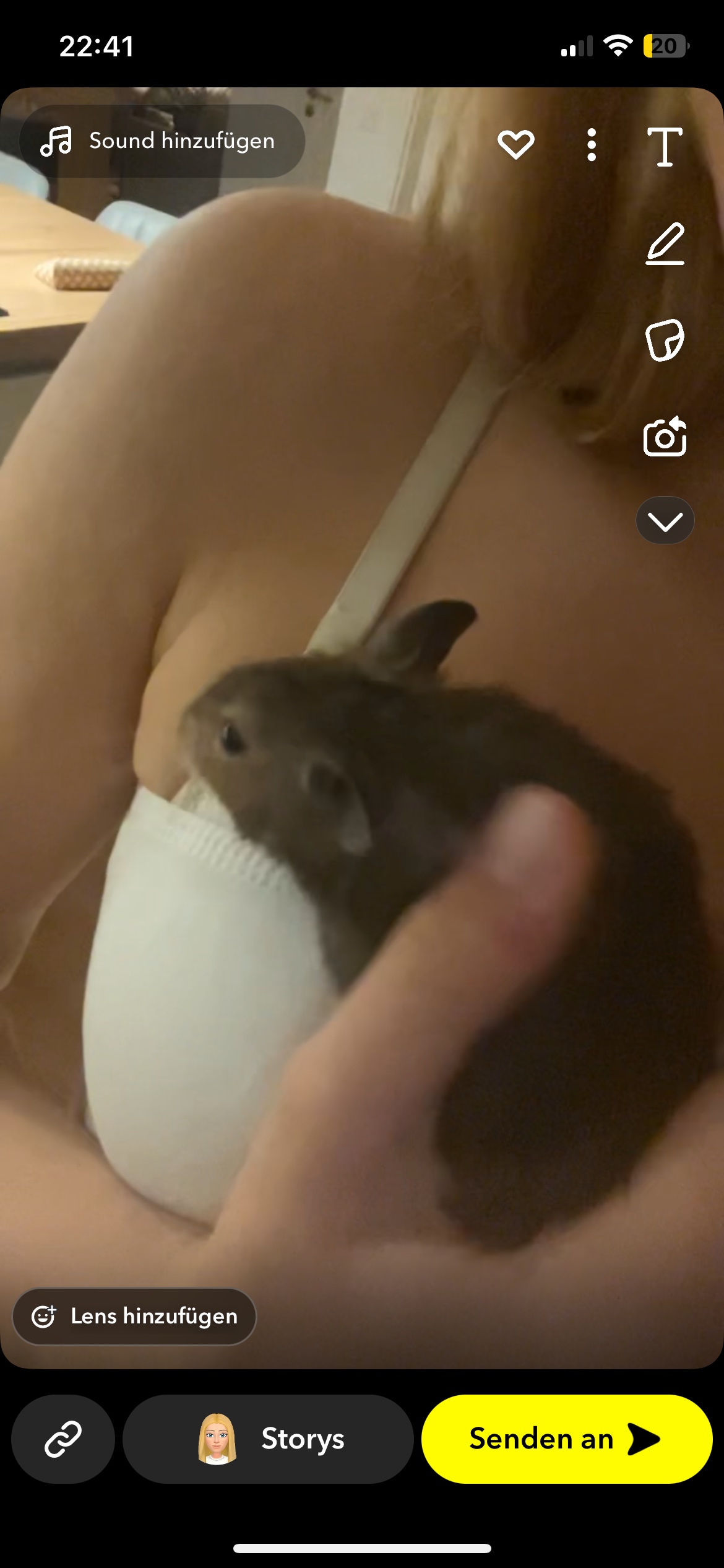 image-7