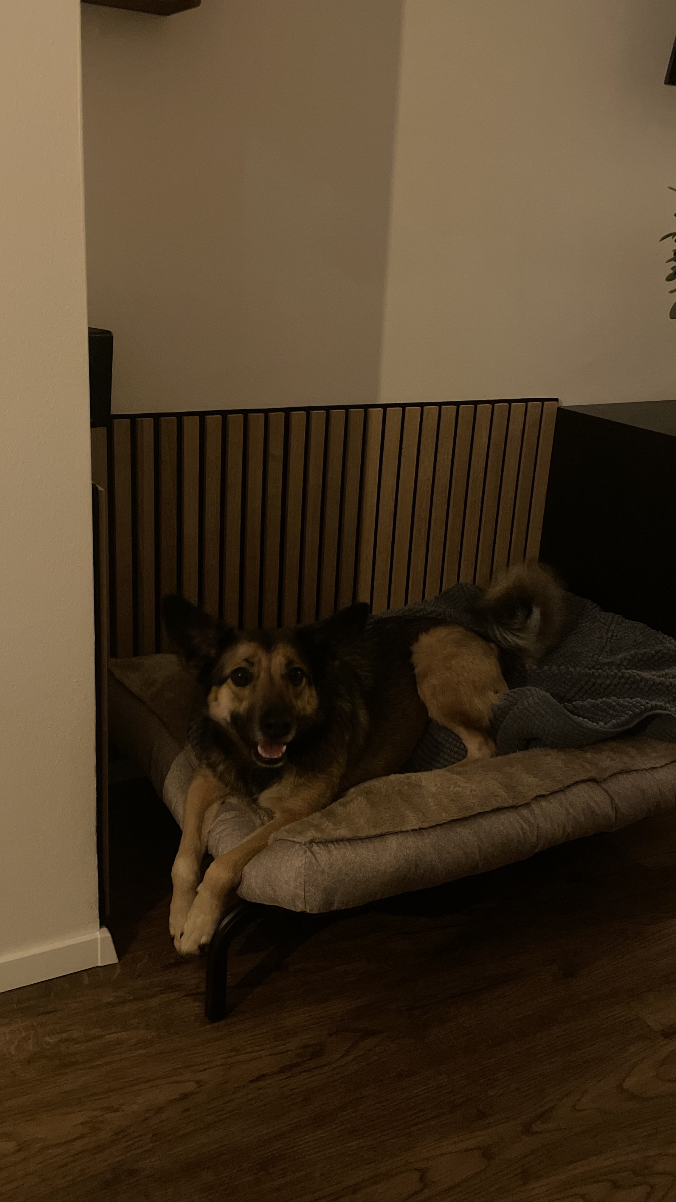 image-14