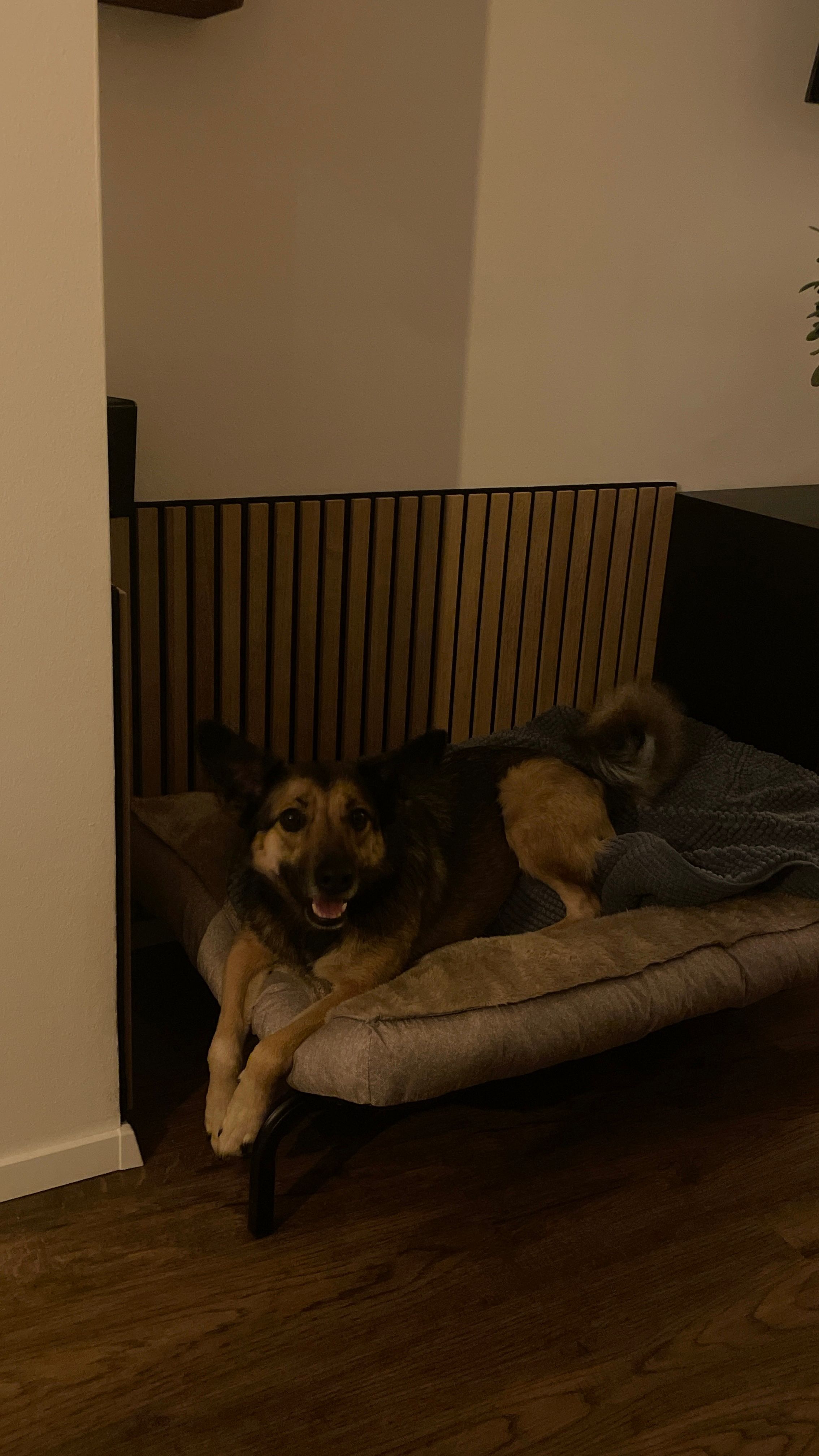 image-14