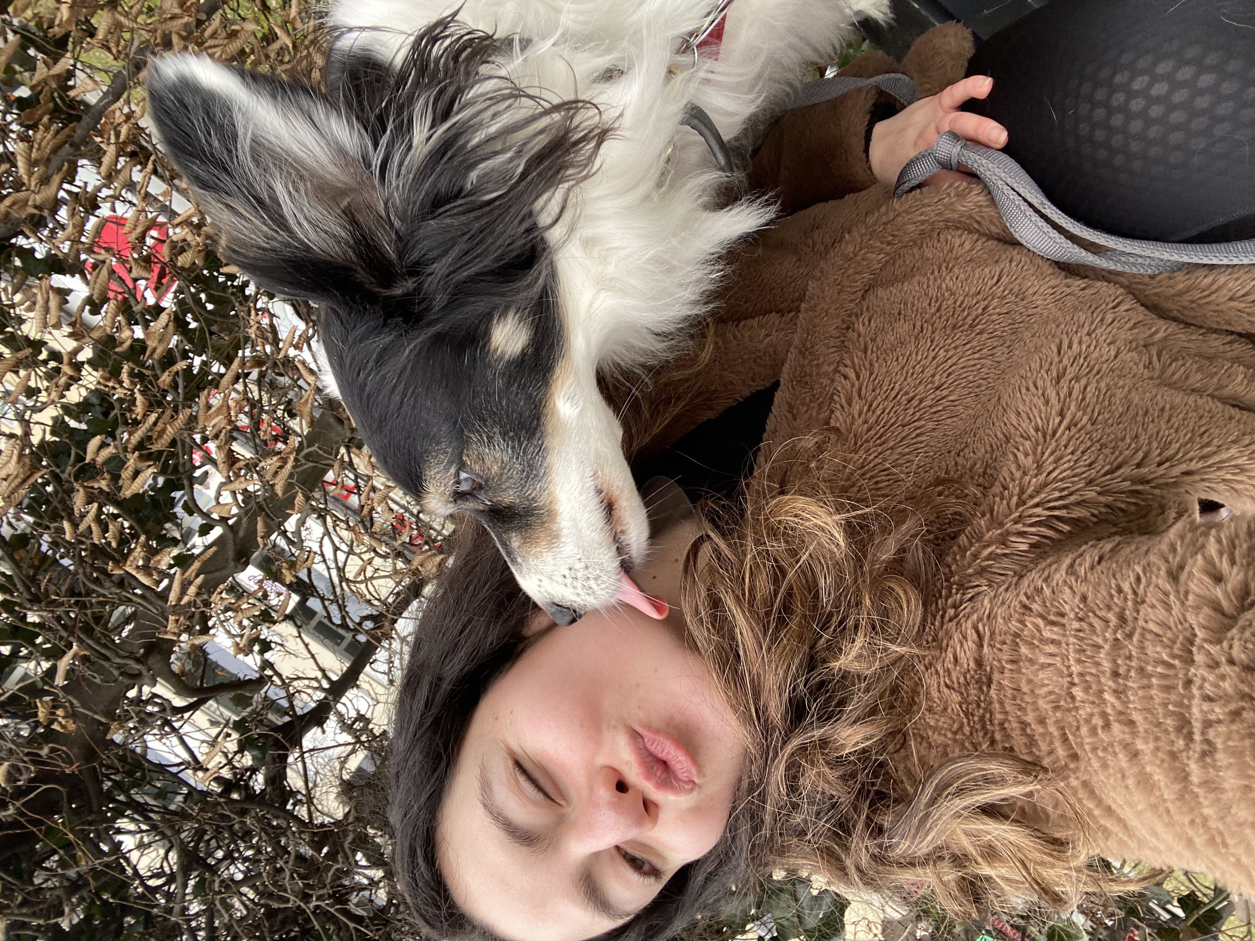 image-5