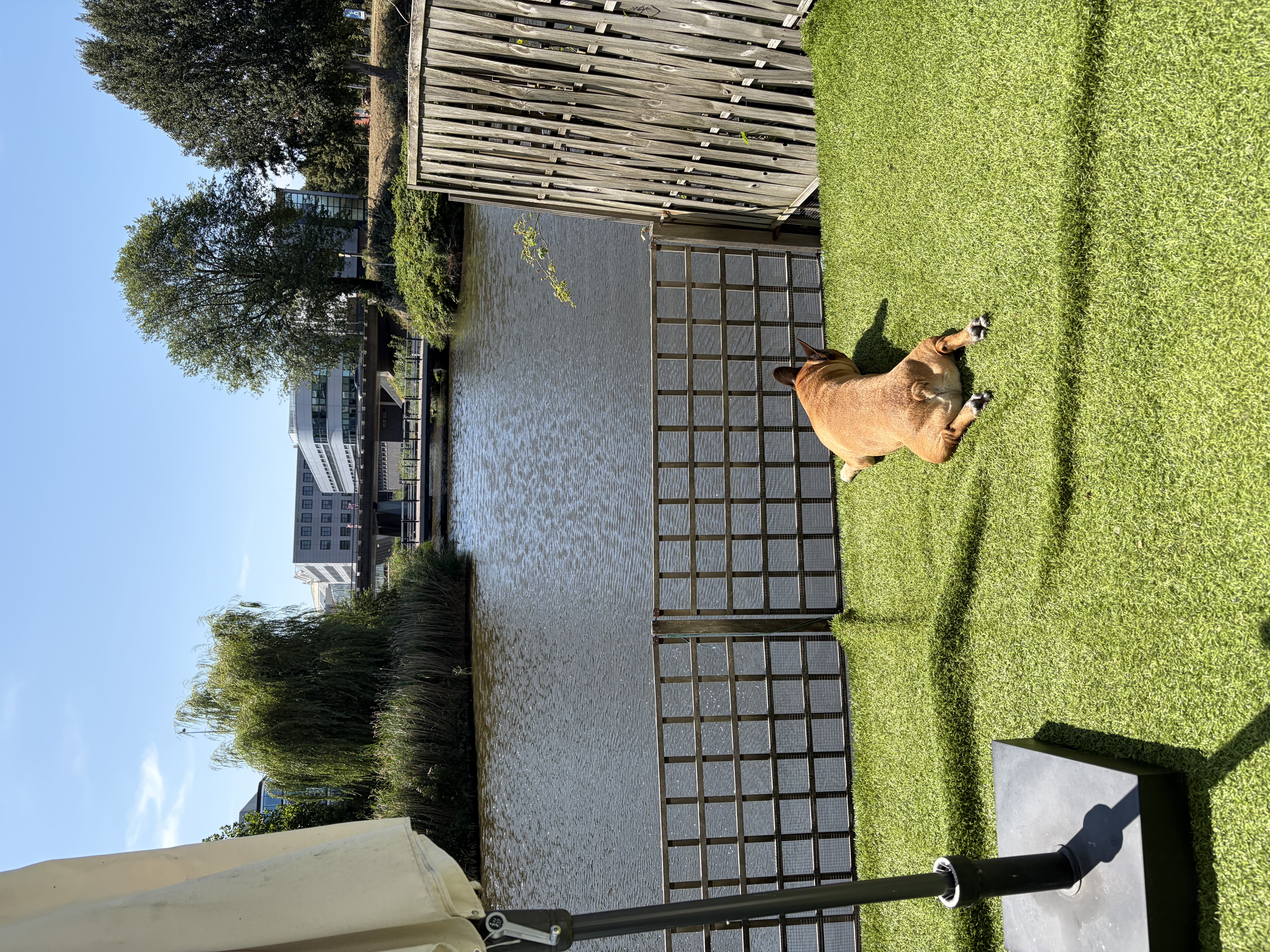 image-37