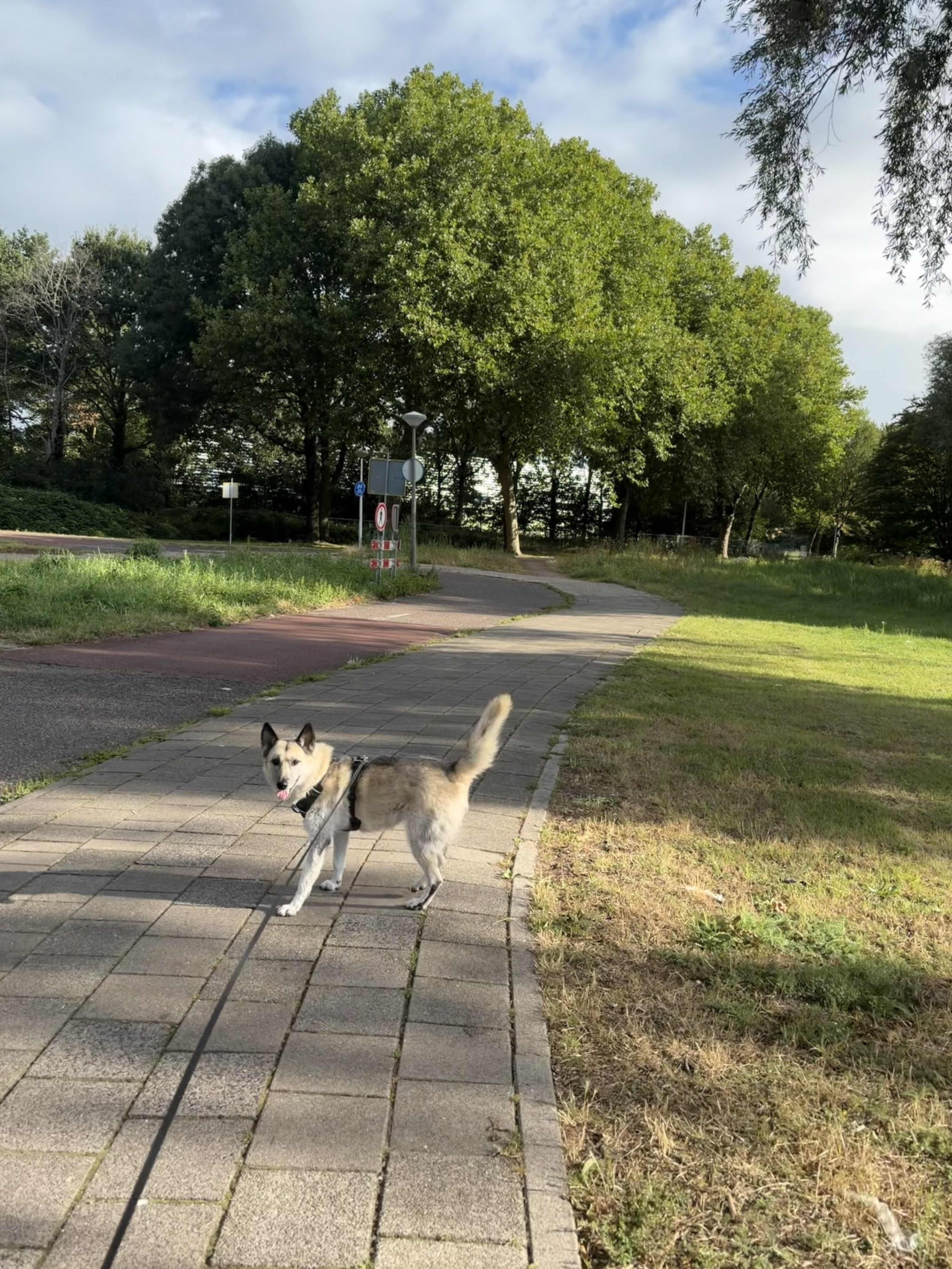image-15