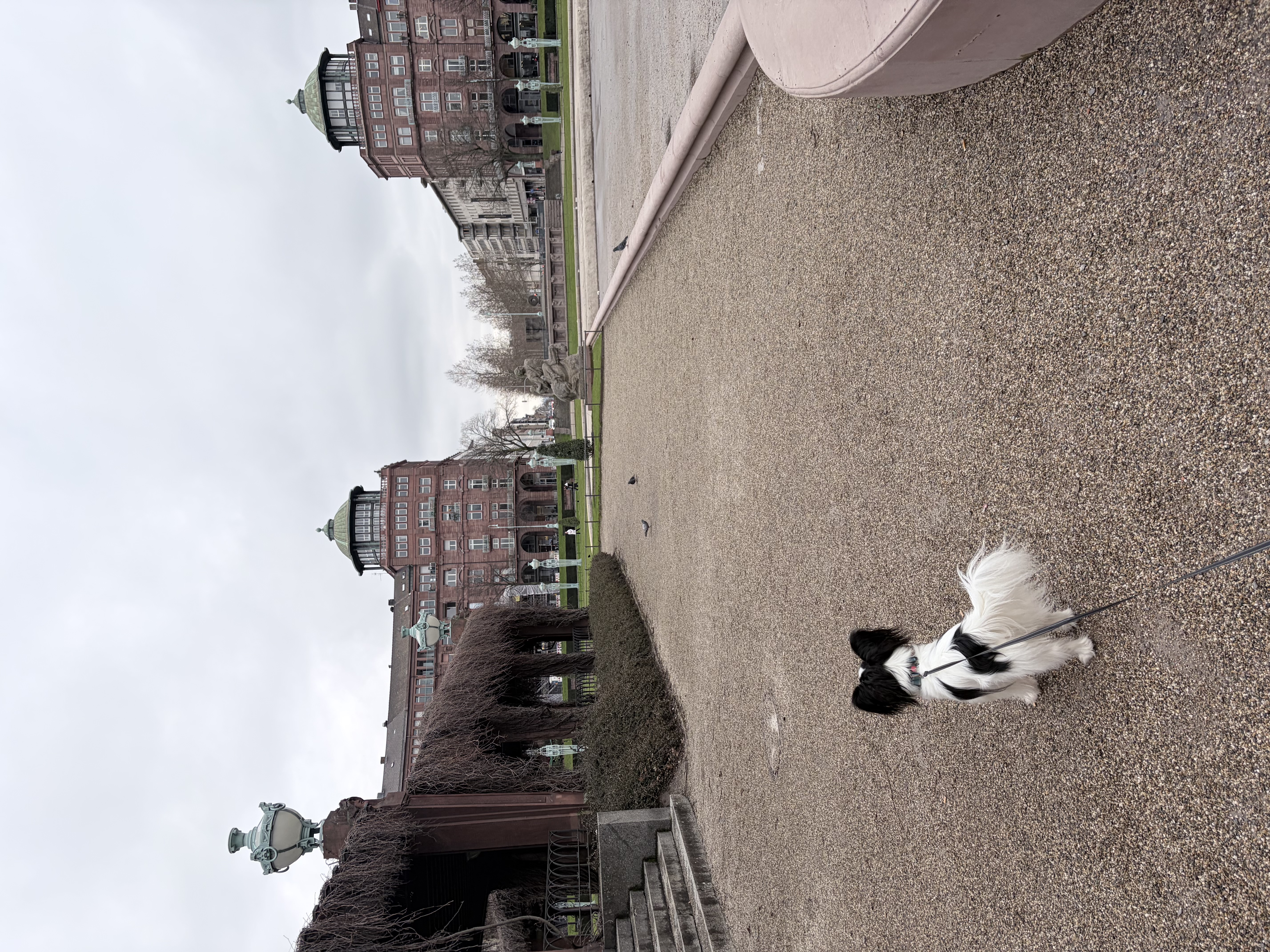 image-6