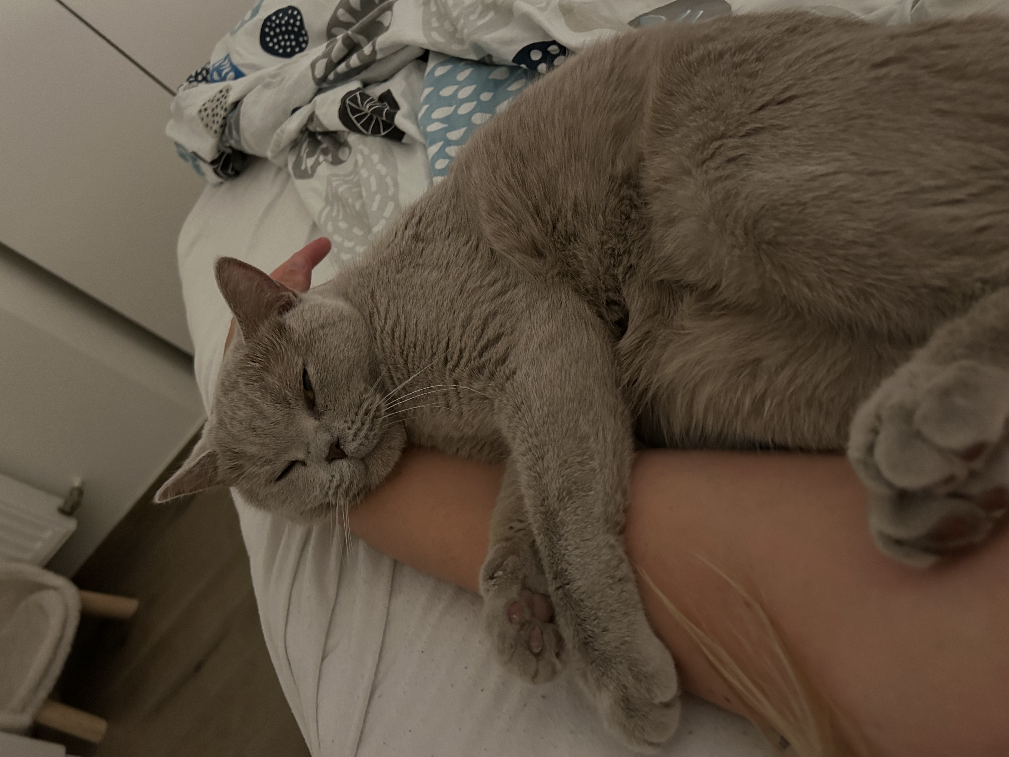 image-7