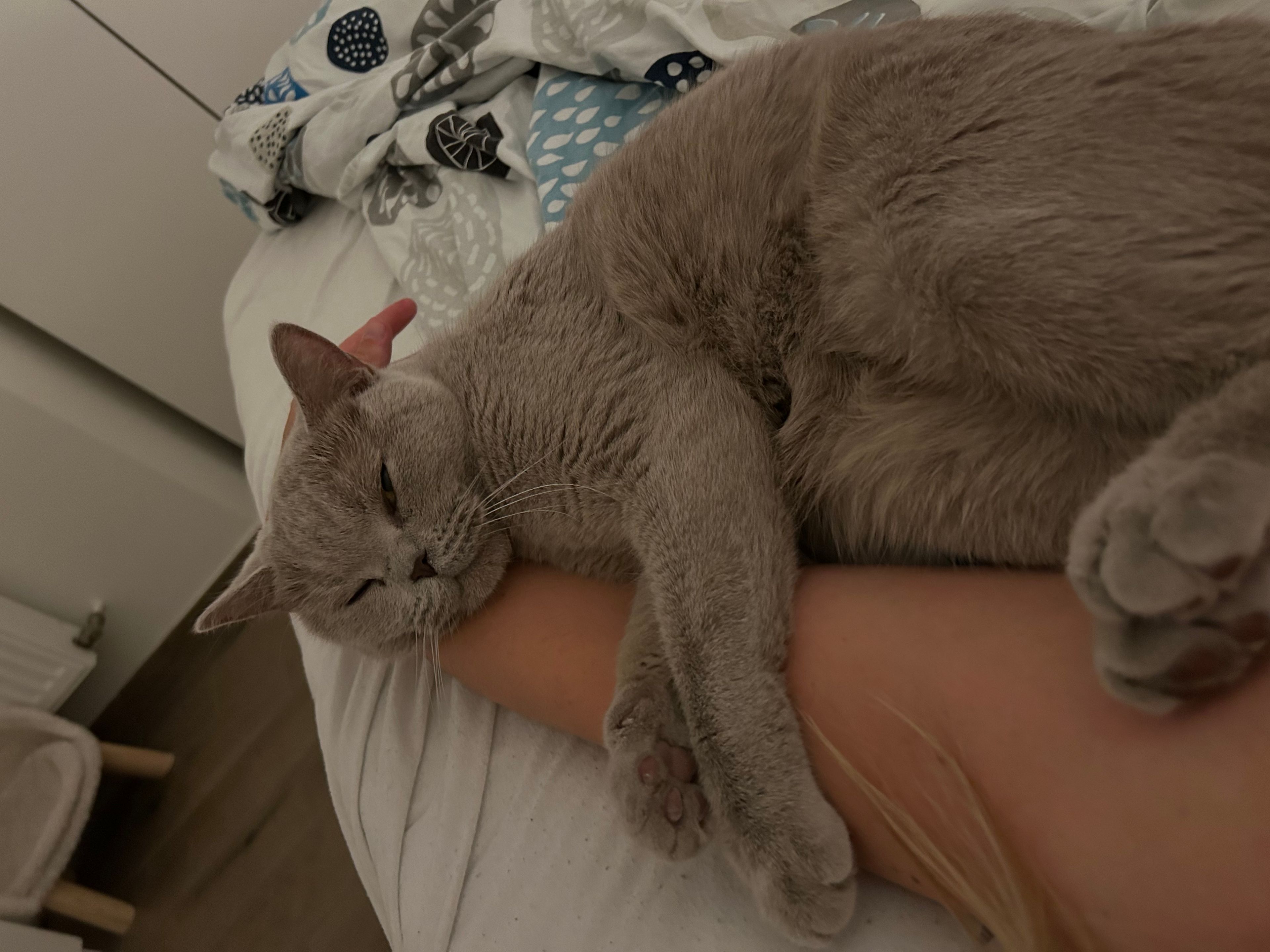 image-7