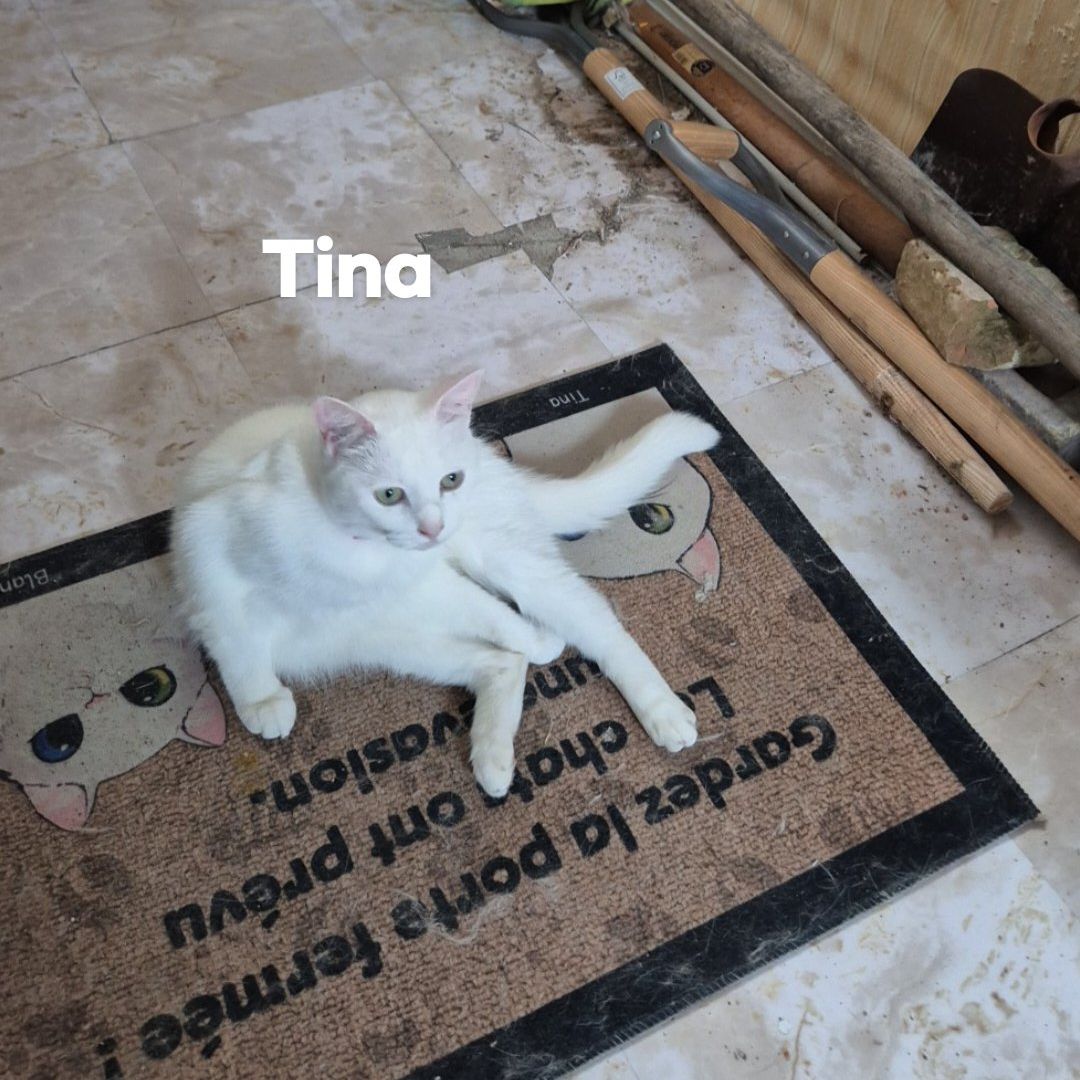 Tina 