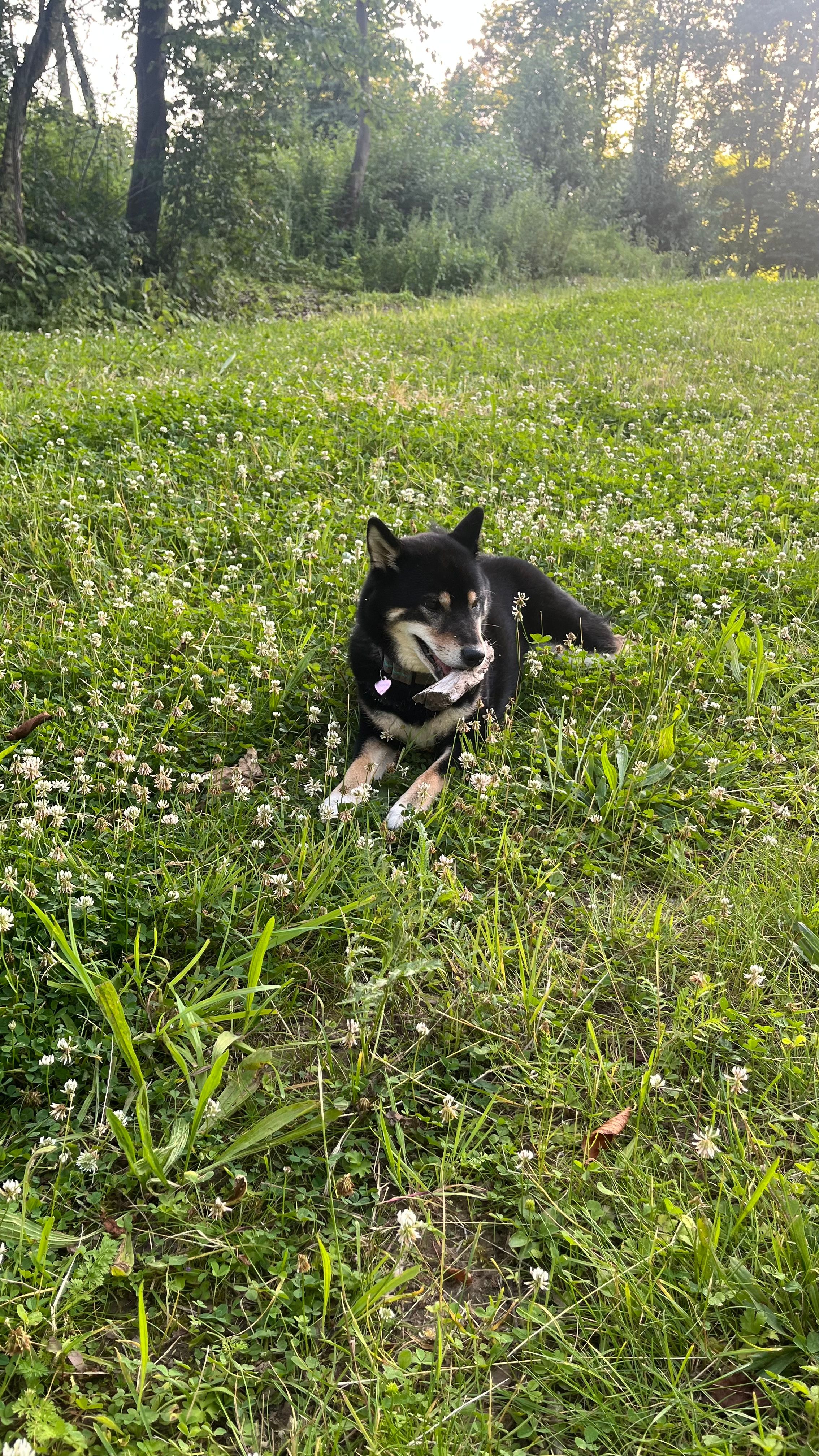 image-14
