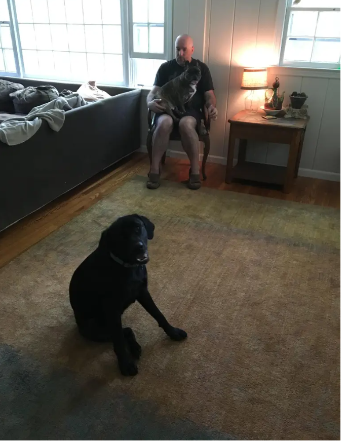 image-18