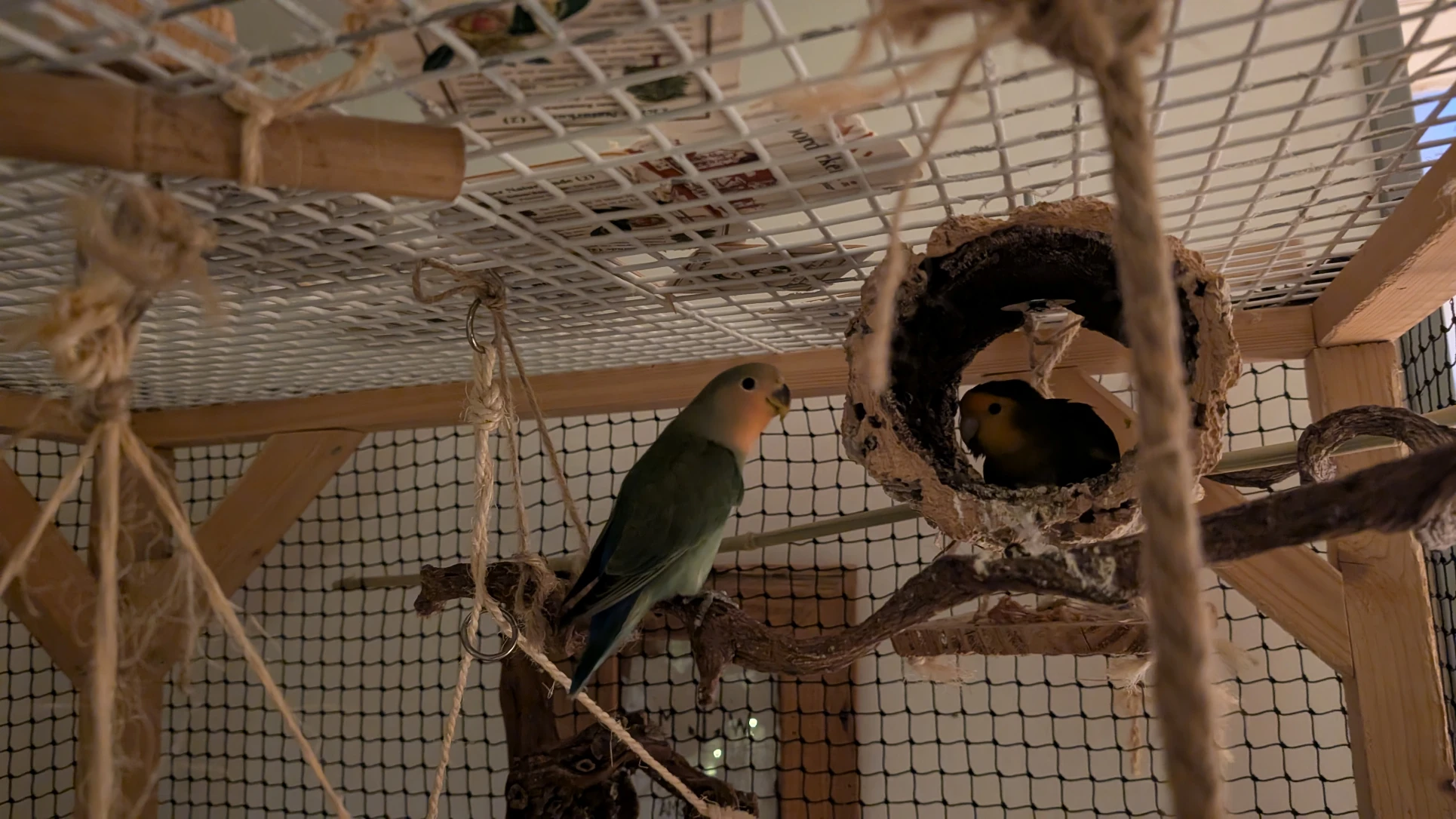 image-7