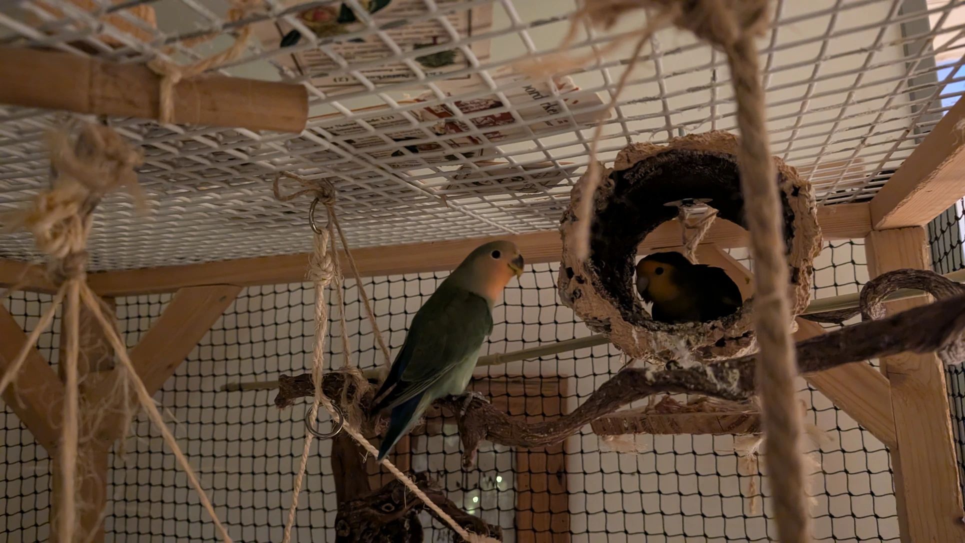 image-7