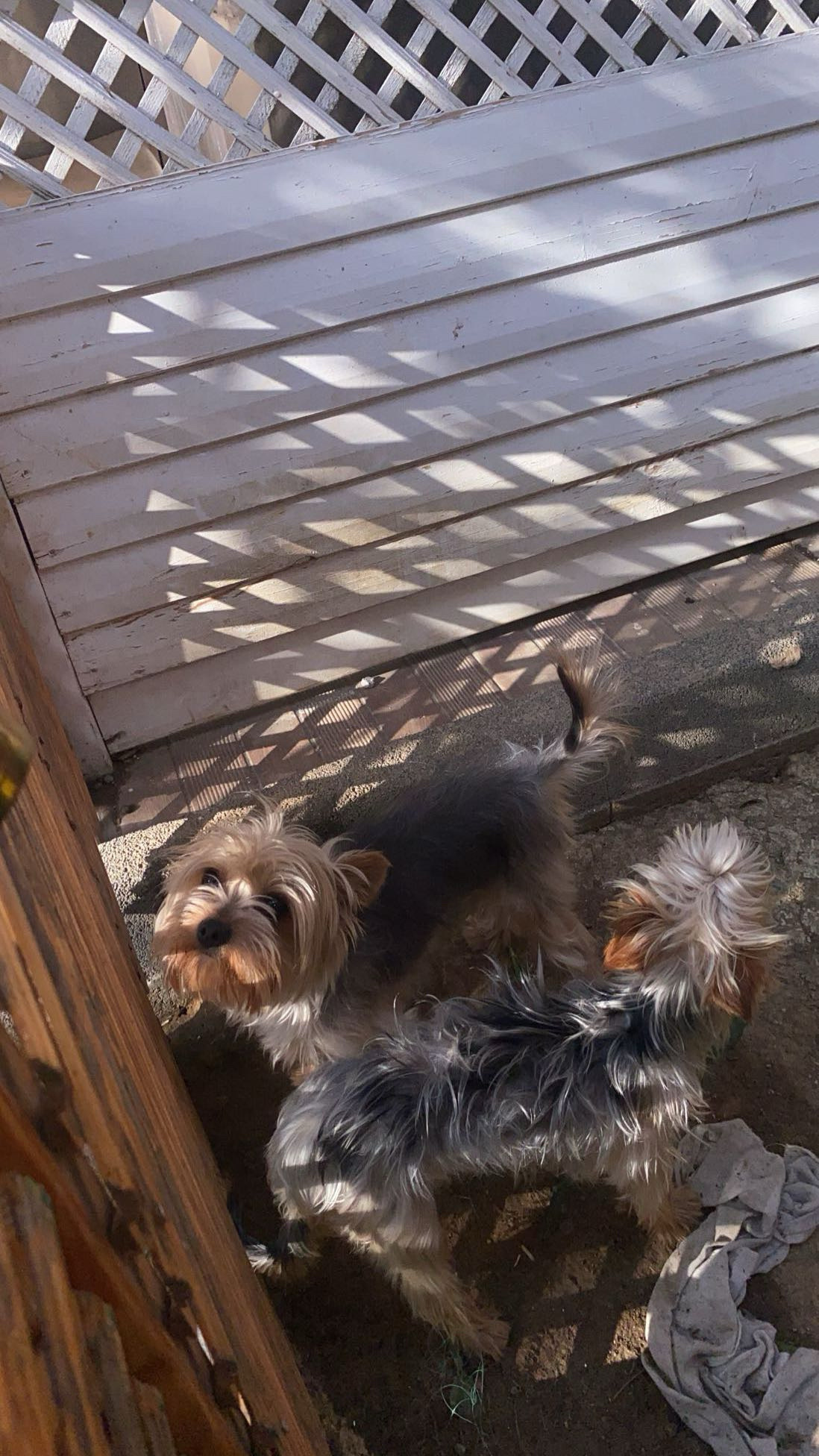 image-8