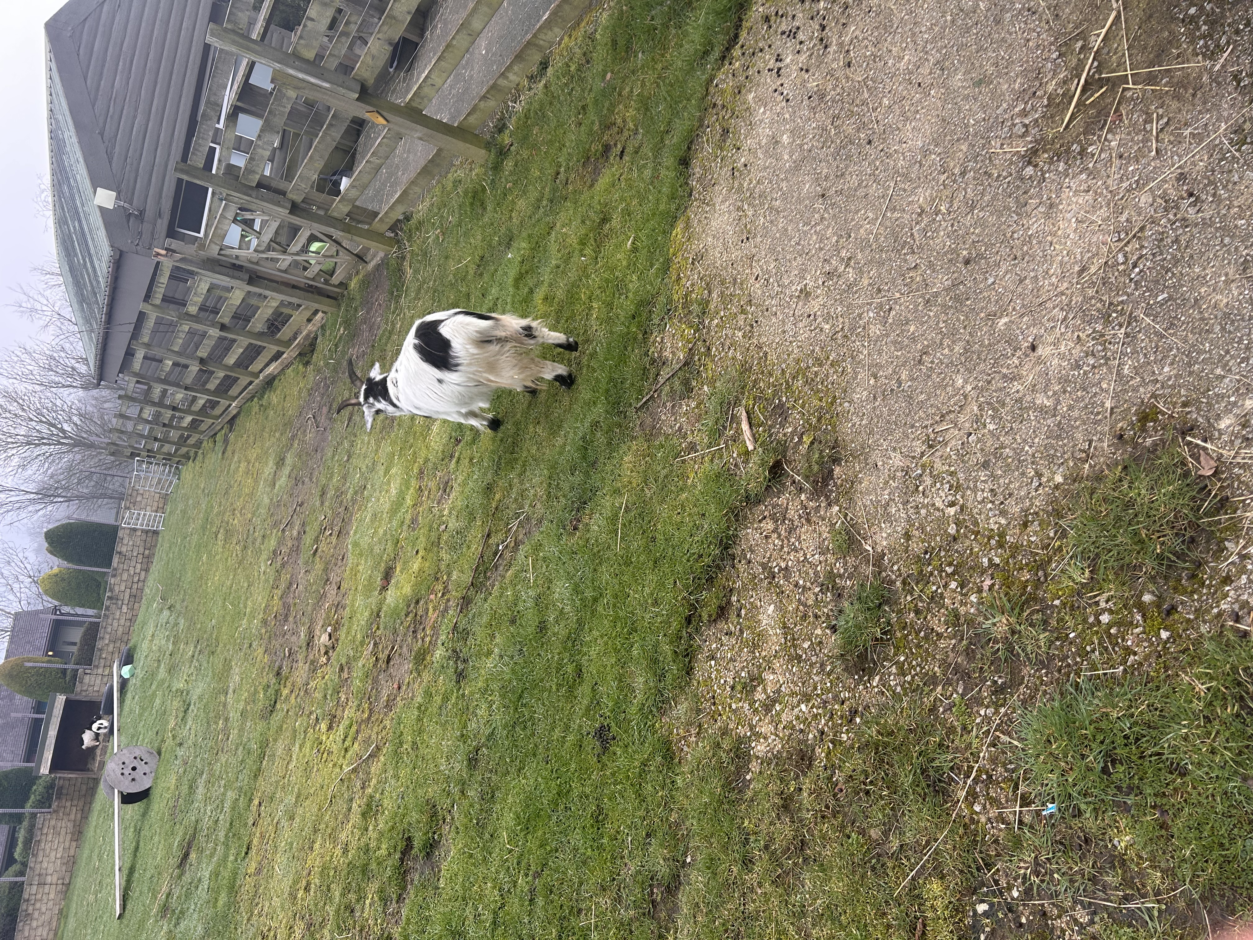 image-6