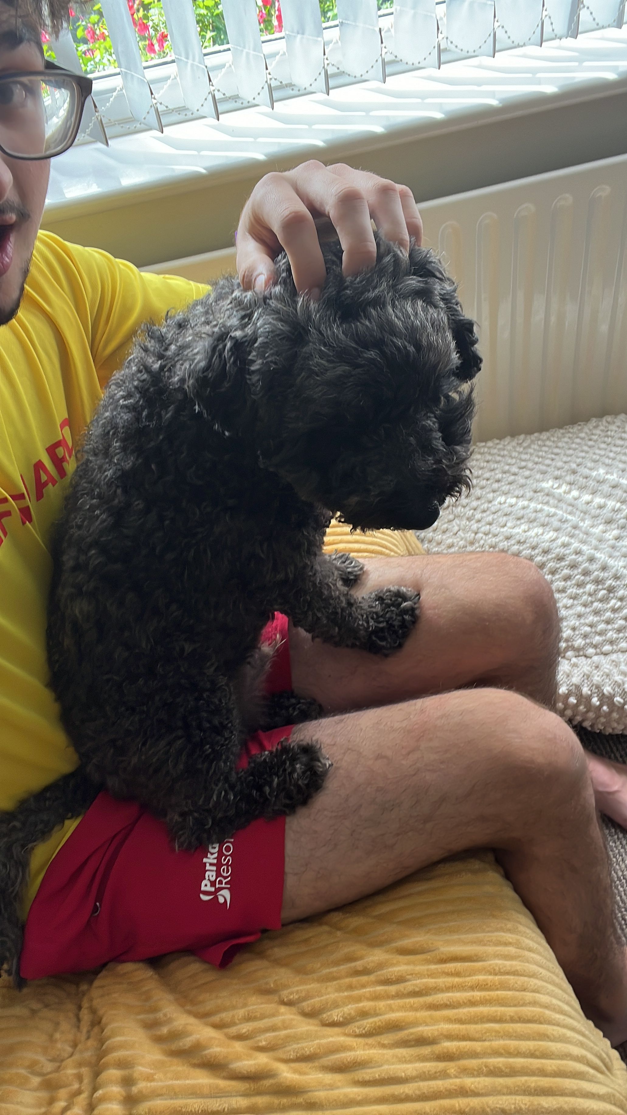 image-8