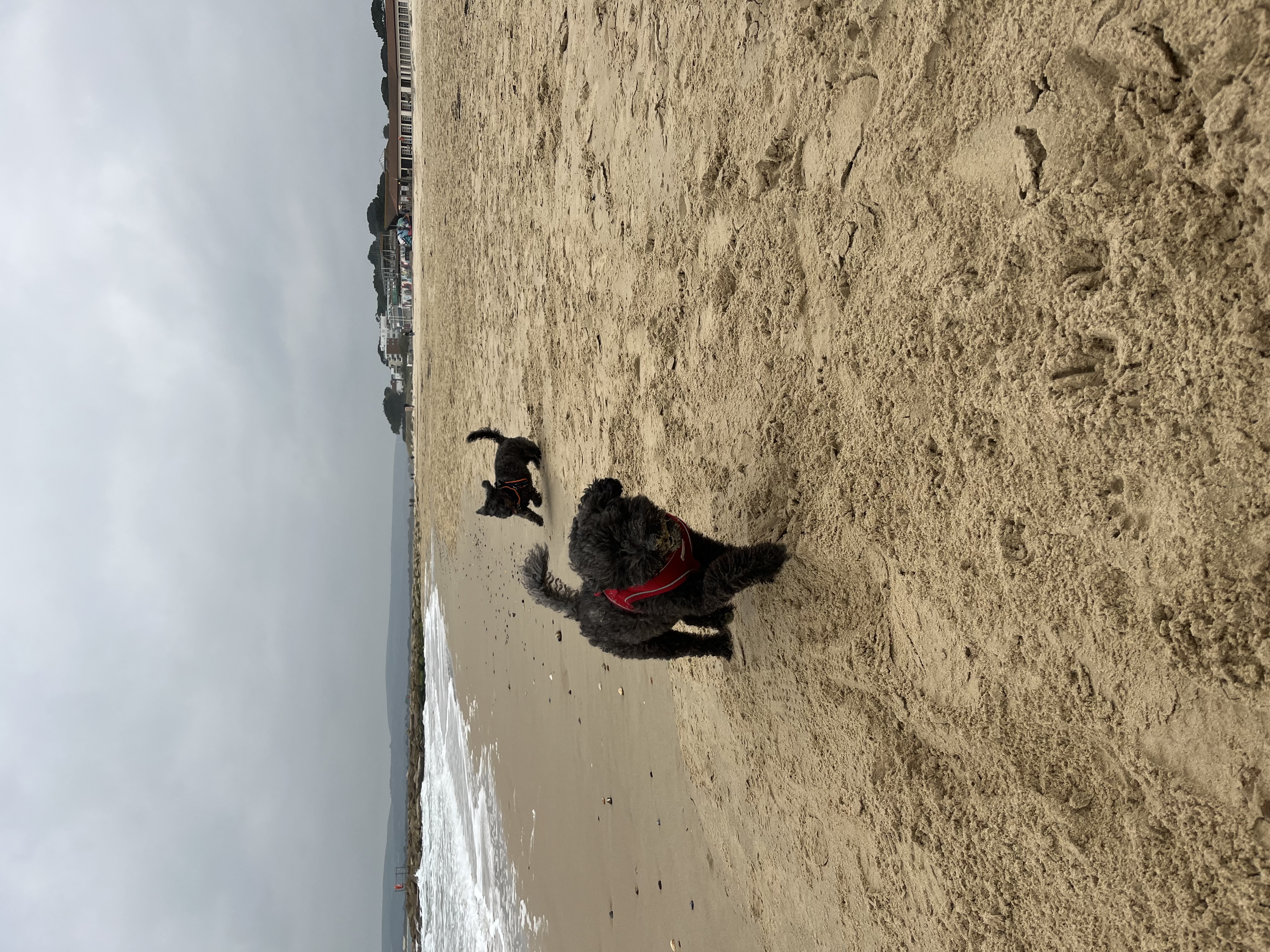 image-13