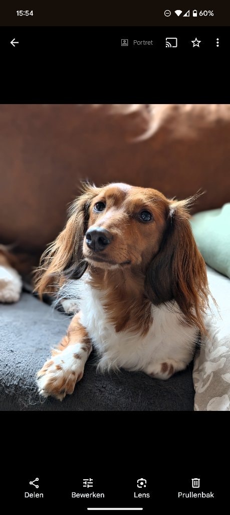 Wilma