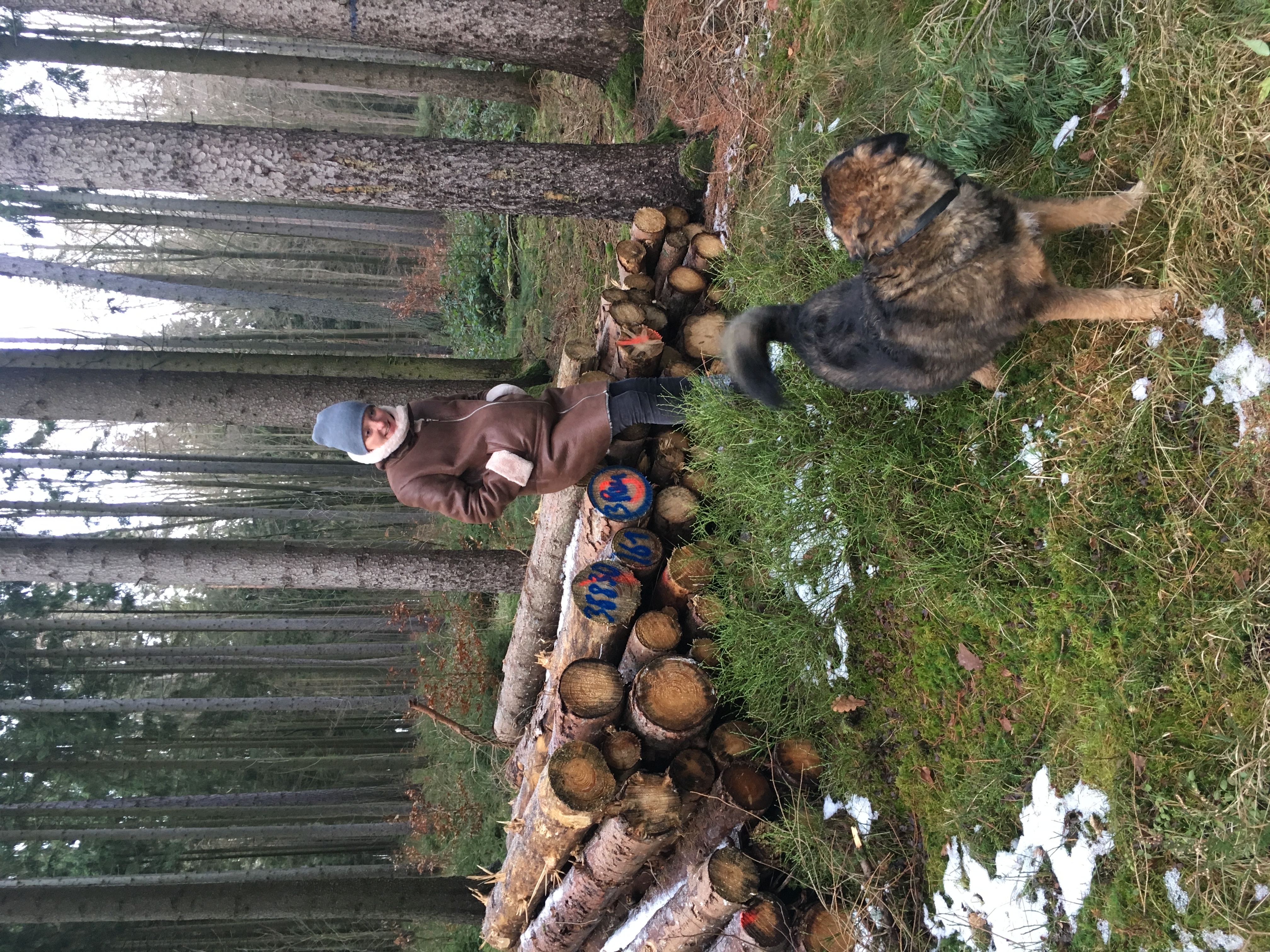 image-5