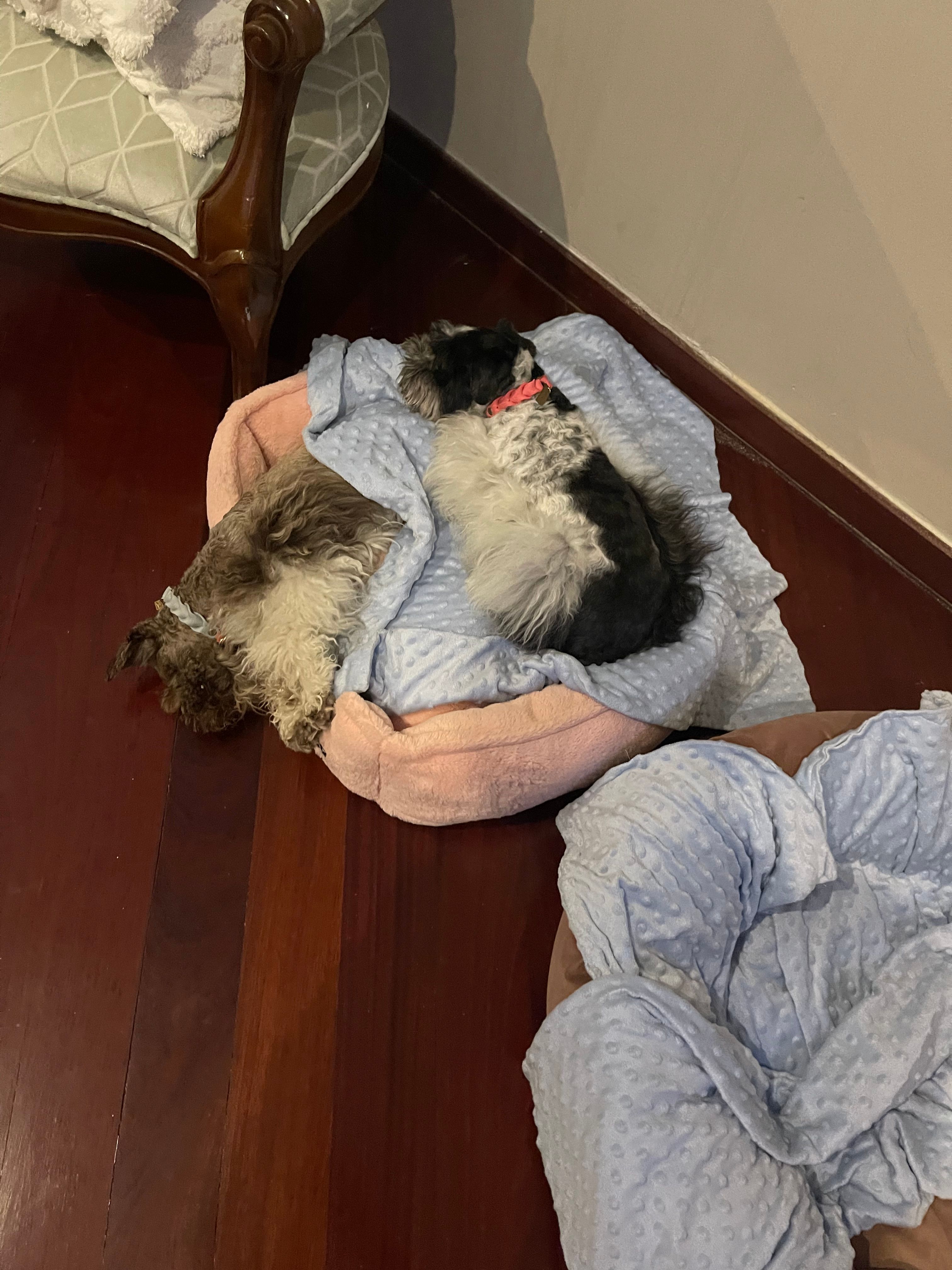 image-4