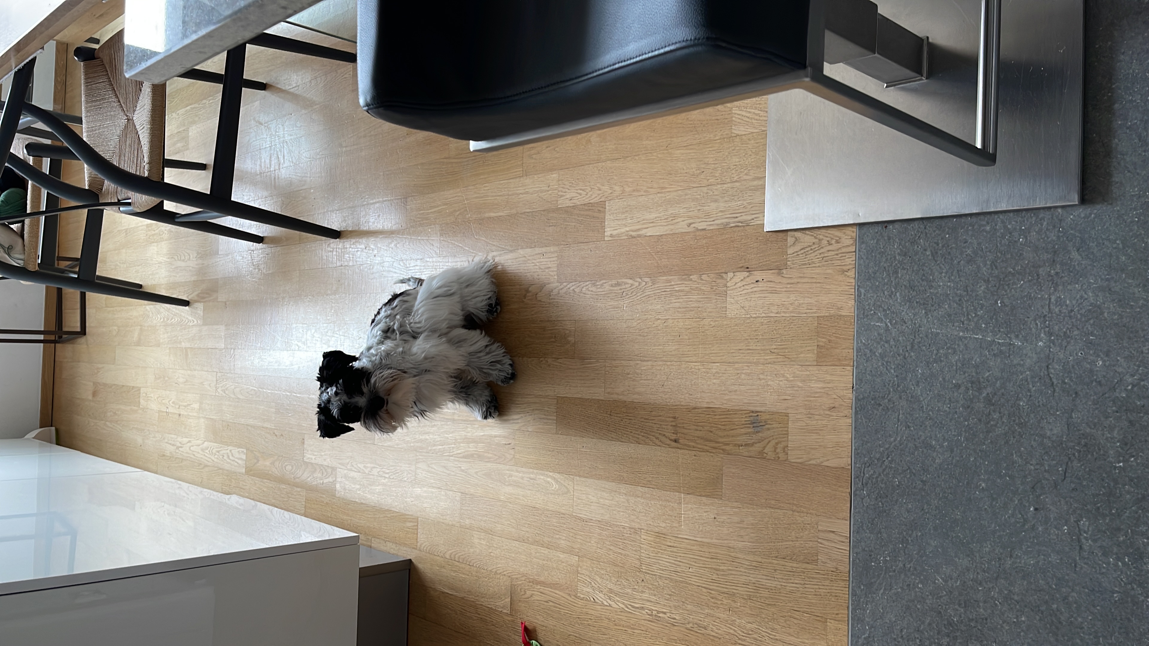 image-15