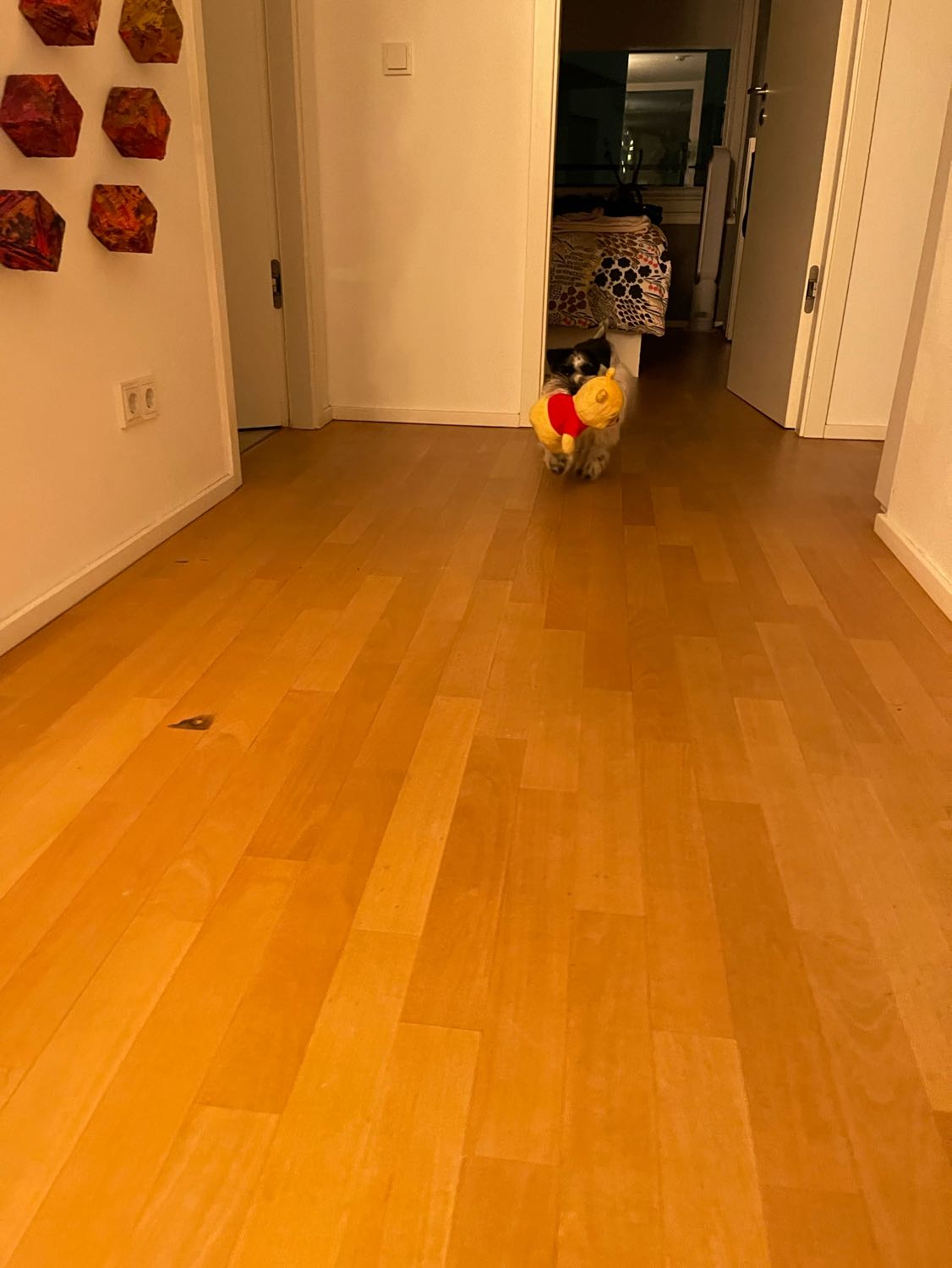 image-10