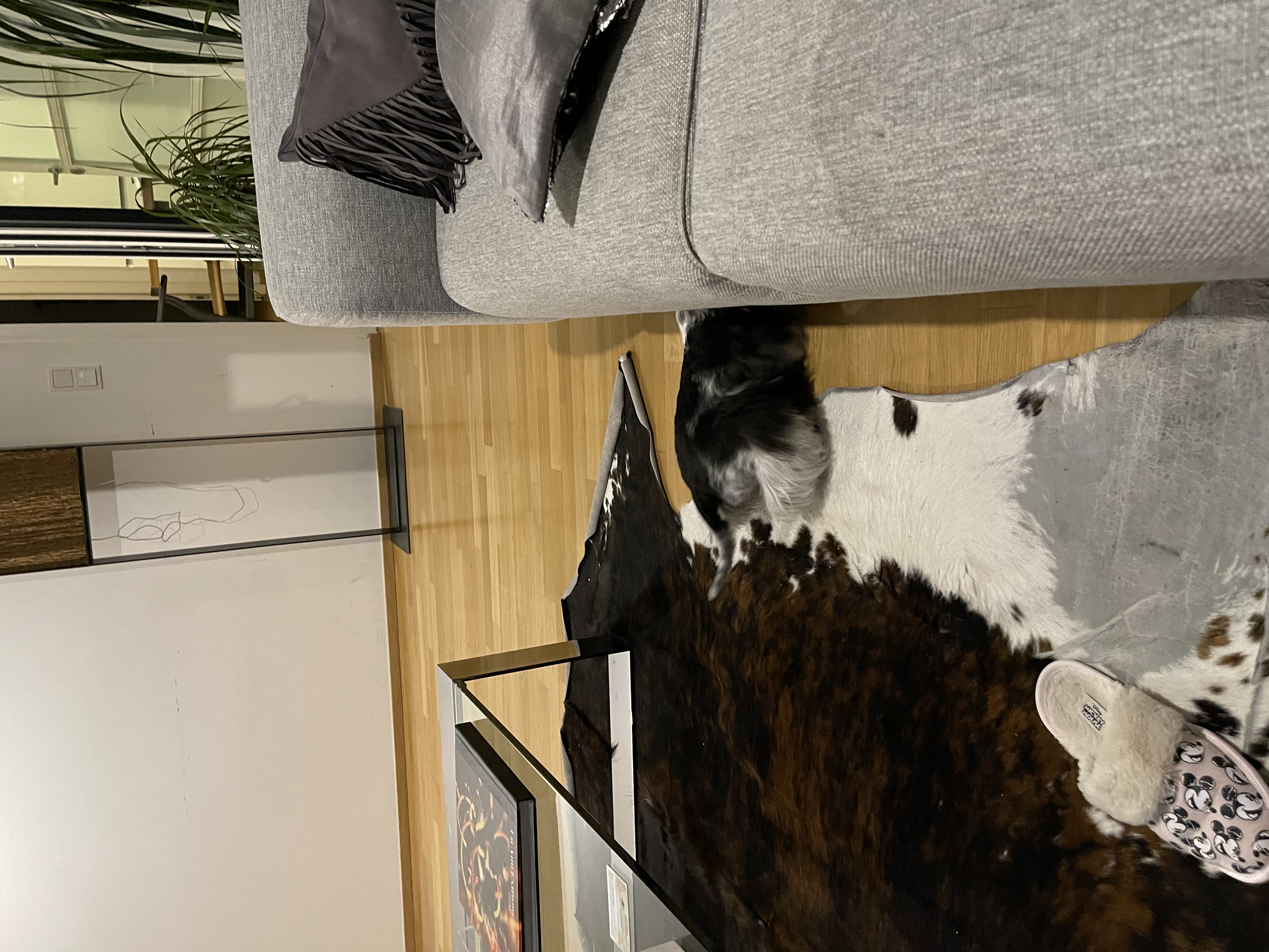 image-17