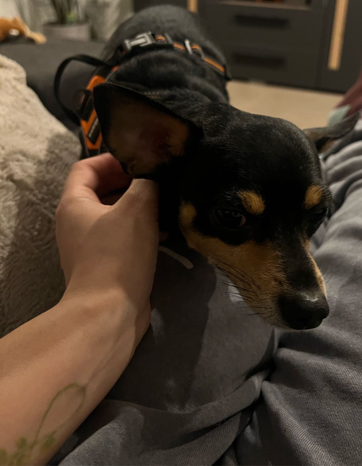 image-8