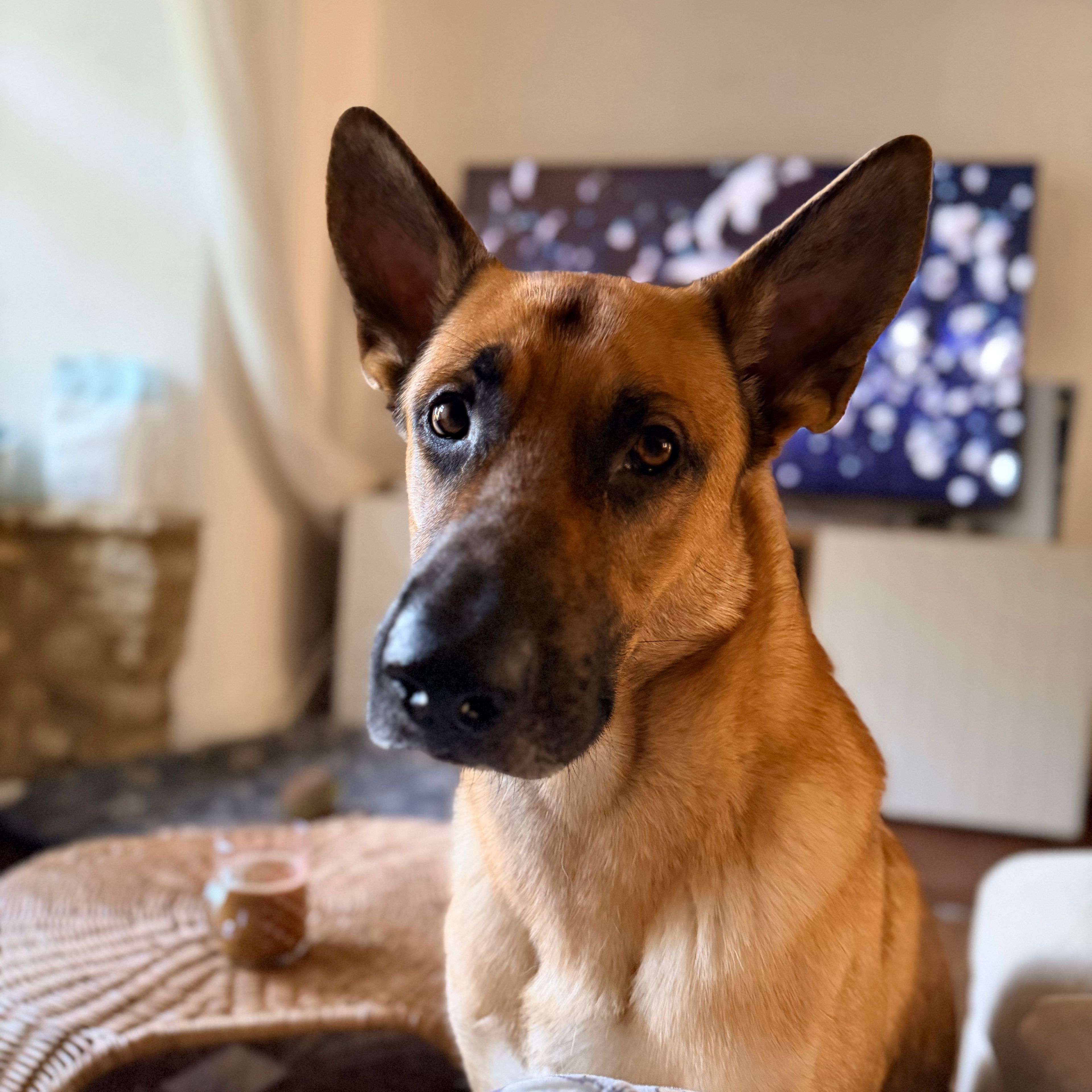 Kaiser