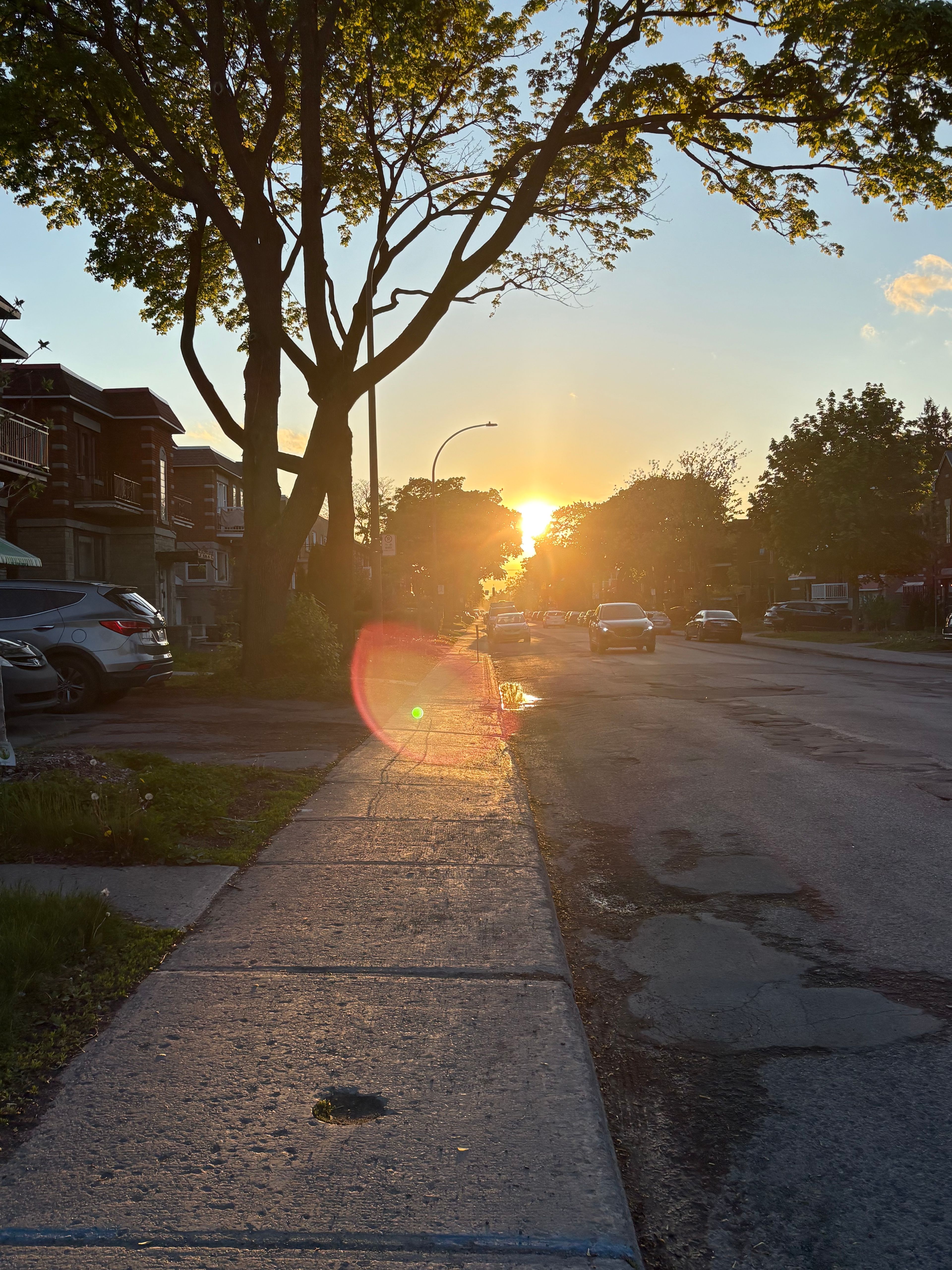 image-20